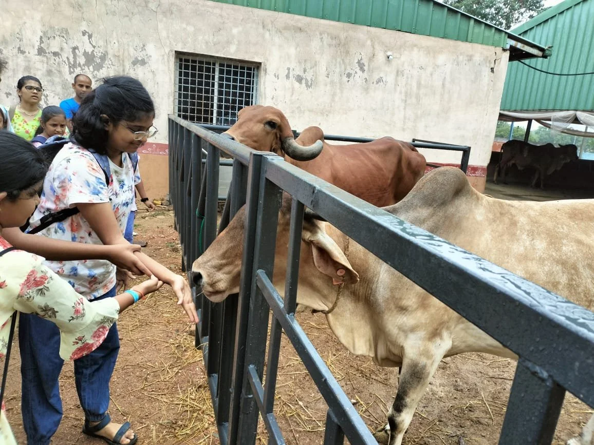 WhatsApp Image 2024-06-09 at 11.30.02 AM.jpeg