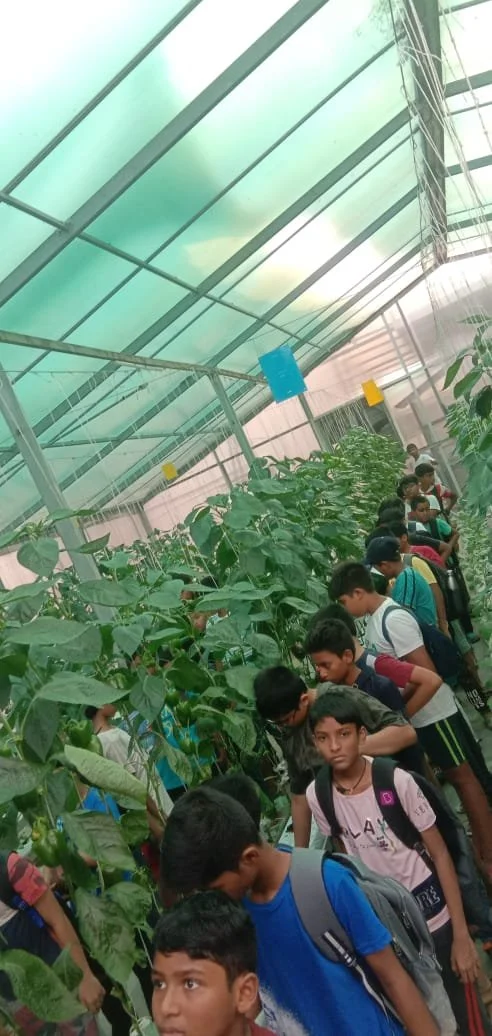 WhatsApp Image 2024-06-08 at 5.37.25 PM.jpeg