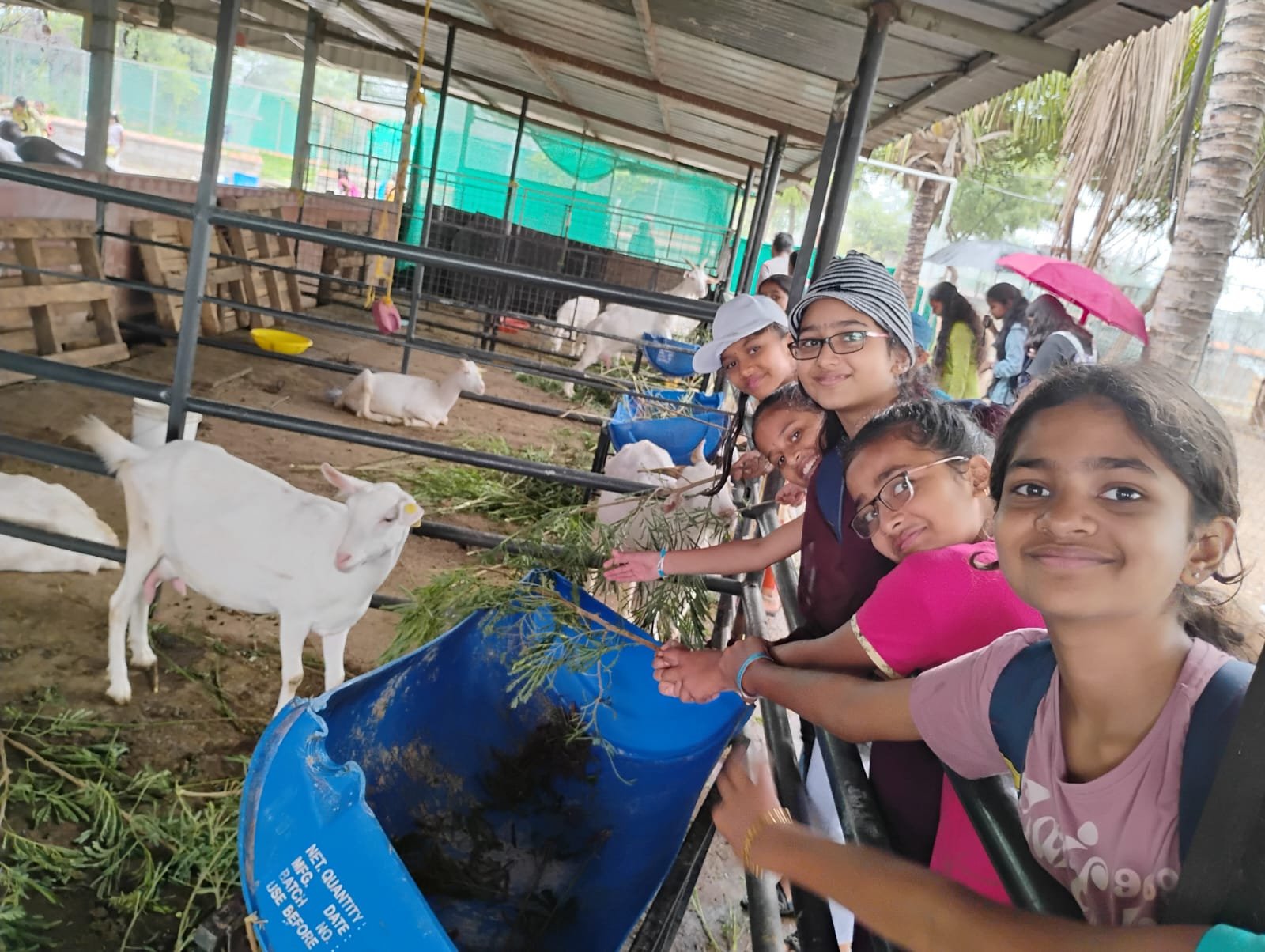 WhatsApp Image 2024-06-09 at 11.44.25 AM.jpeg