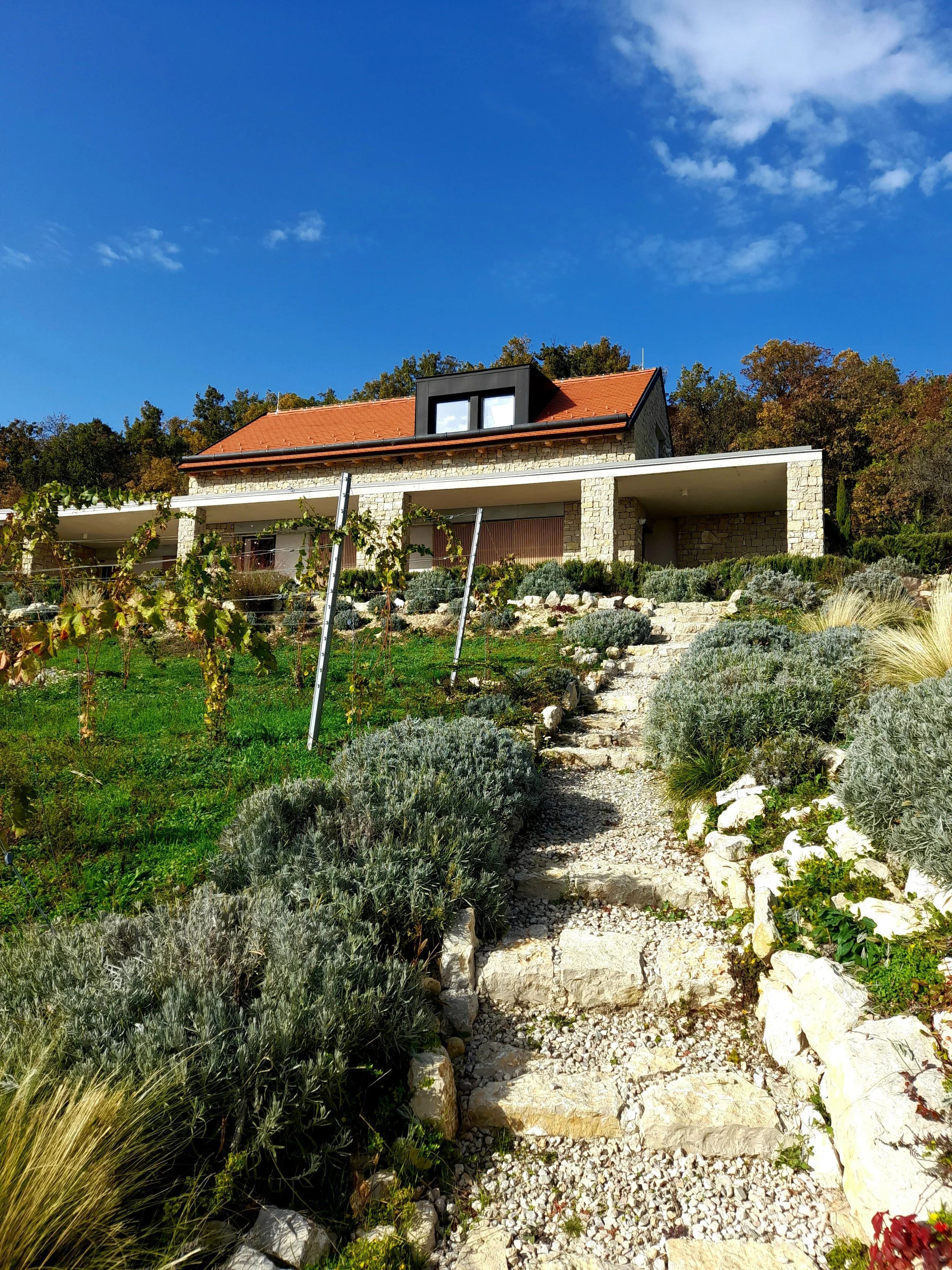 VINEYARD HOUSE - Balatonfüred