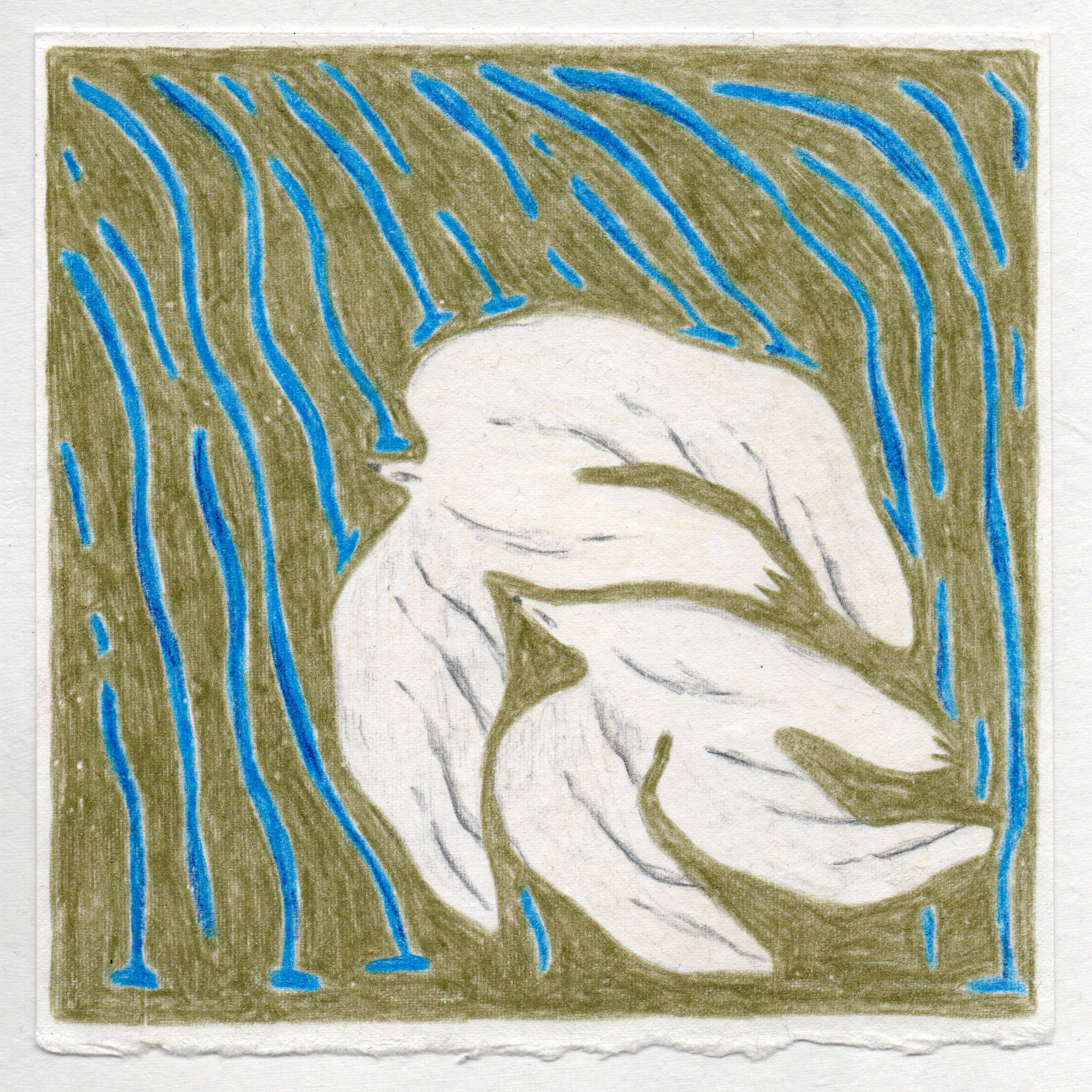 Untitled (2025), color pencils, 18x18cm