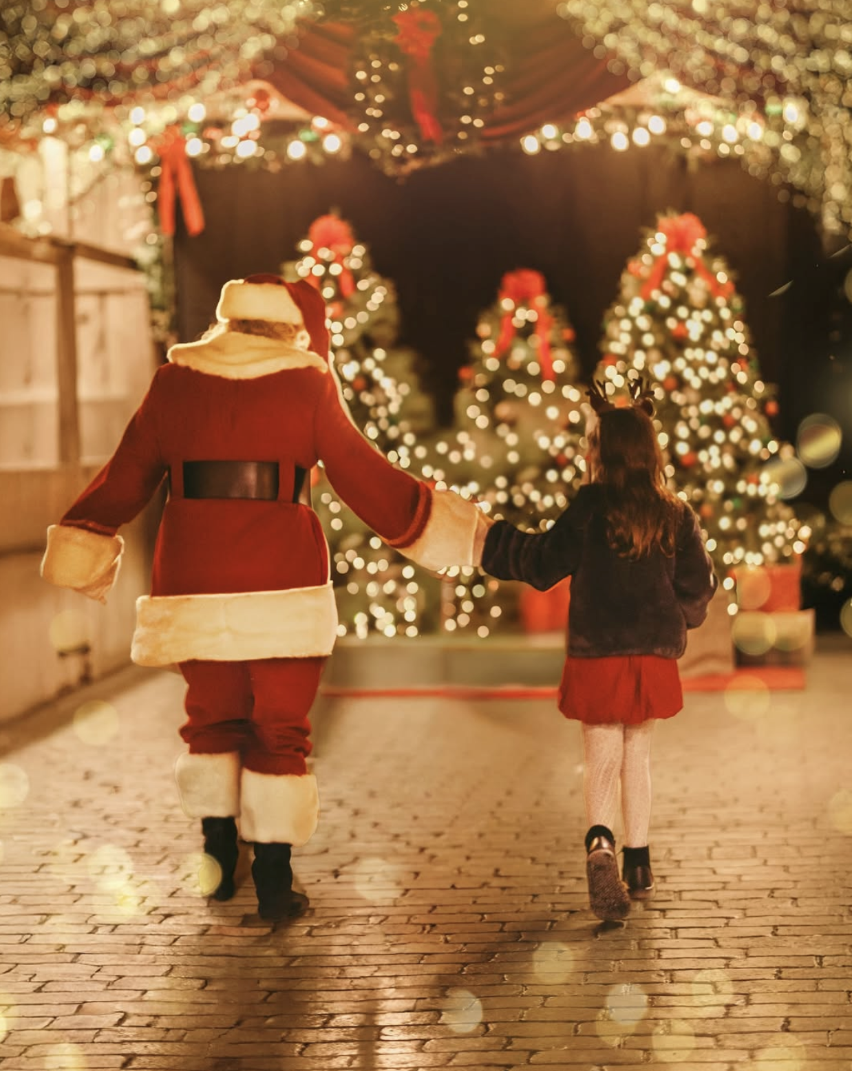 December Photo Challenge Winners | Holly Jolly