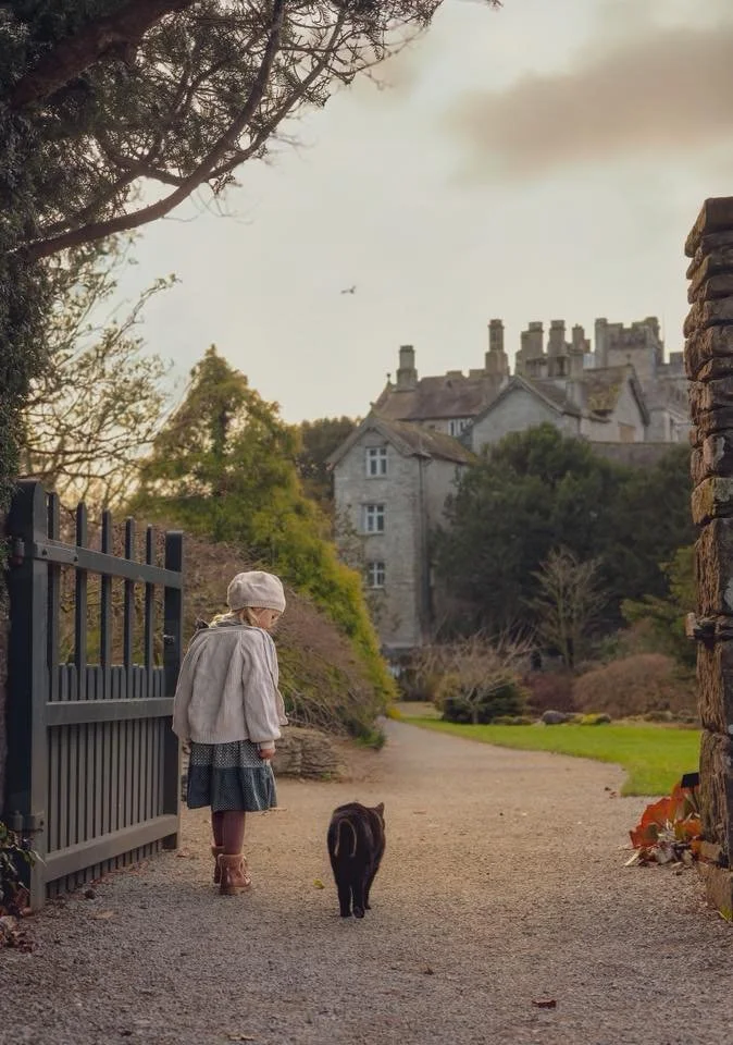 52 Clicks | Week 3 | Asymmetry