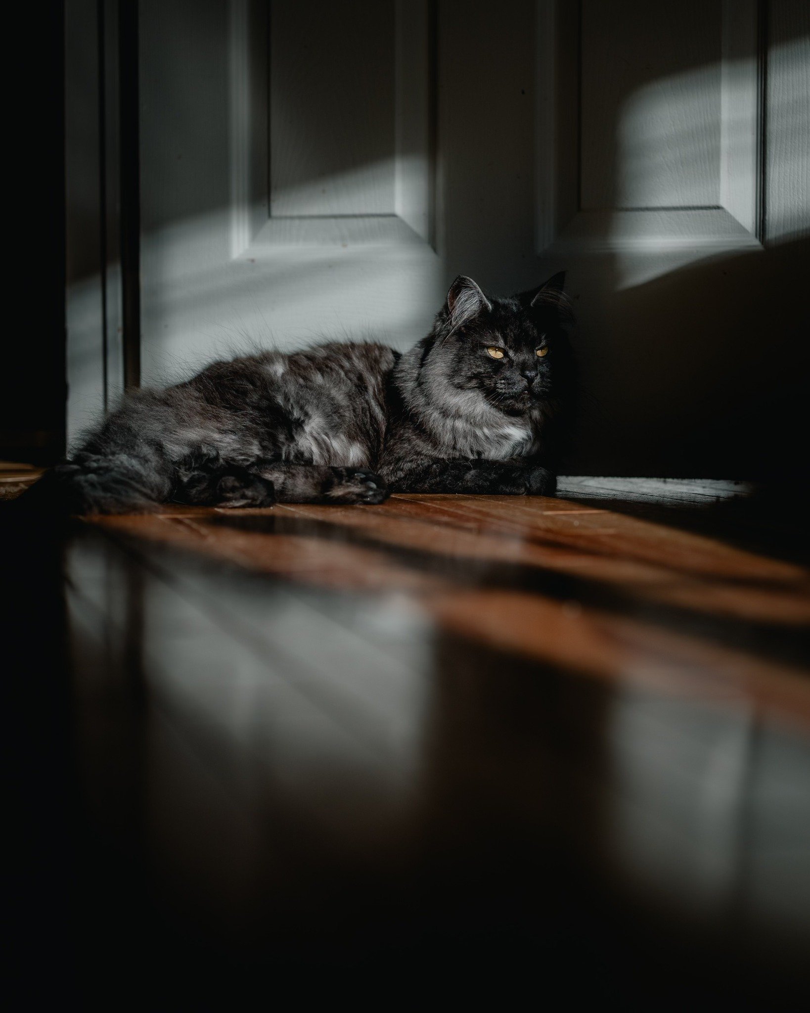 52 Clicks | Week 7 | Directional Light