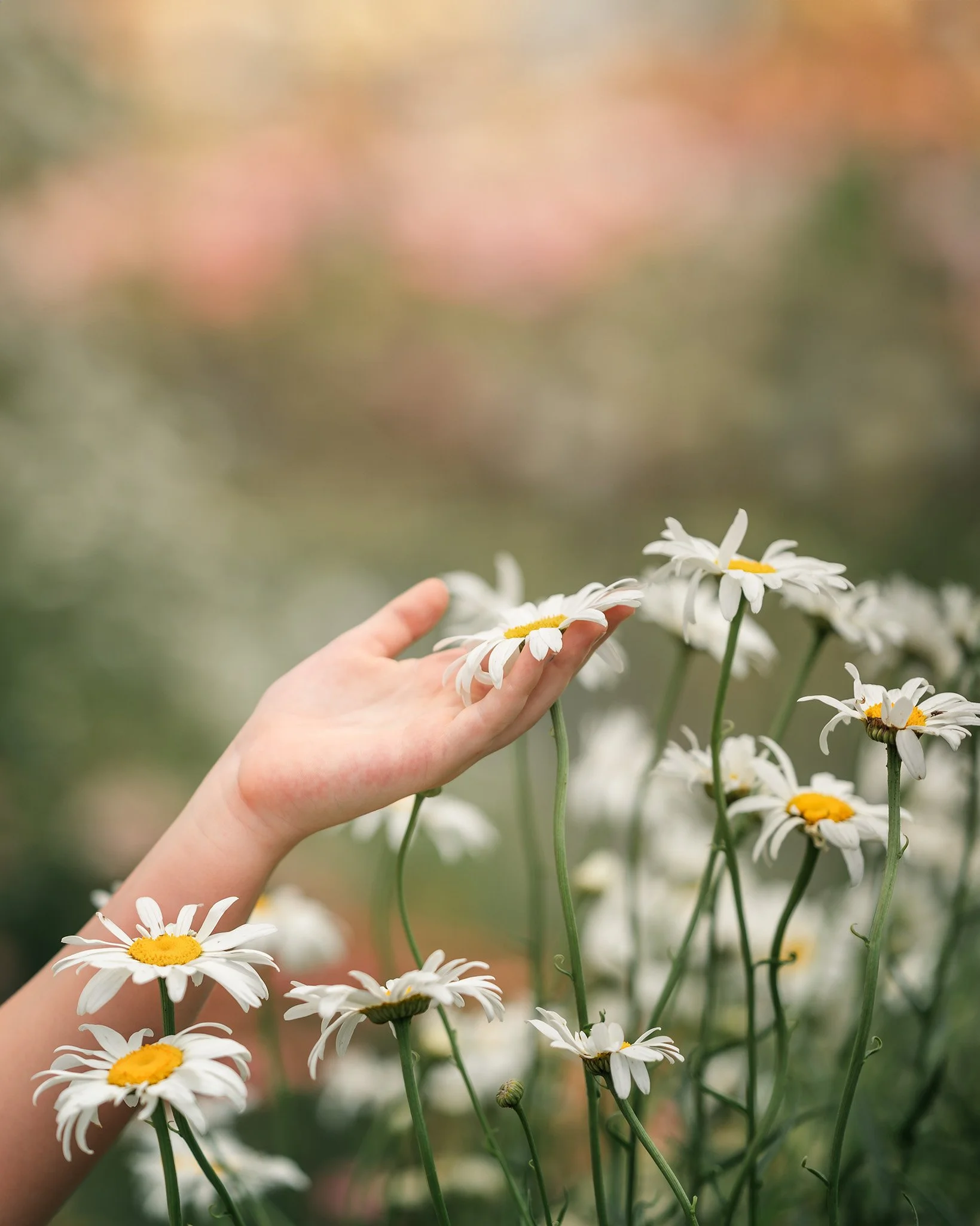 Spring Photography: Capturing Light, Color, and Life as the World Wakes Up | by Holly Awwad