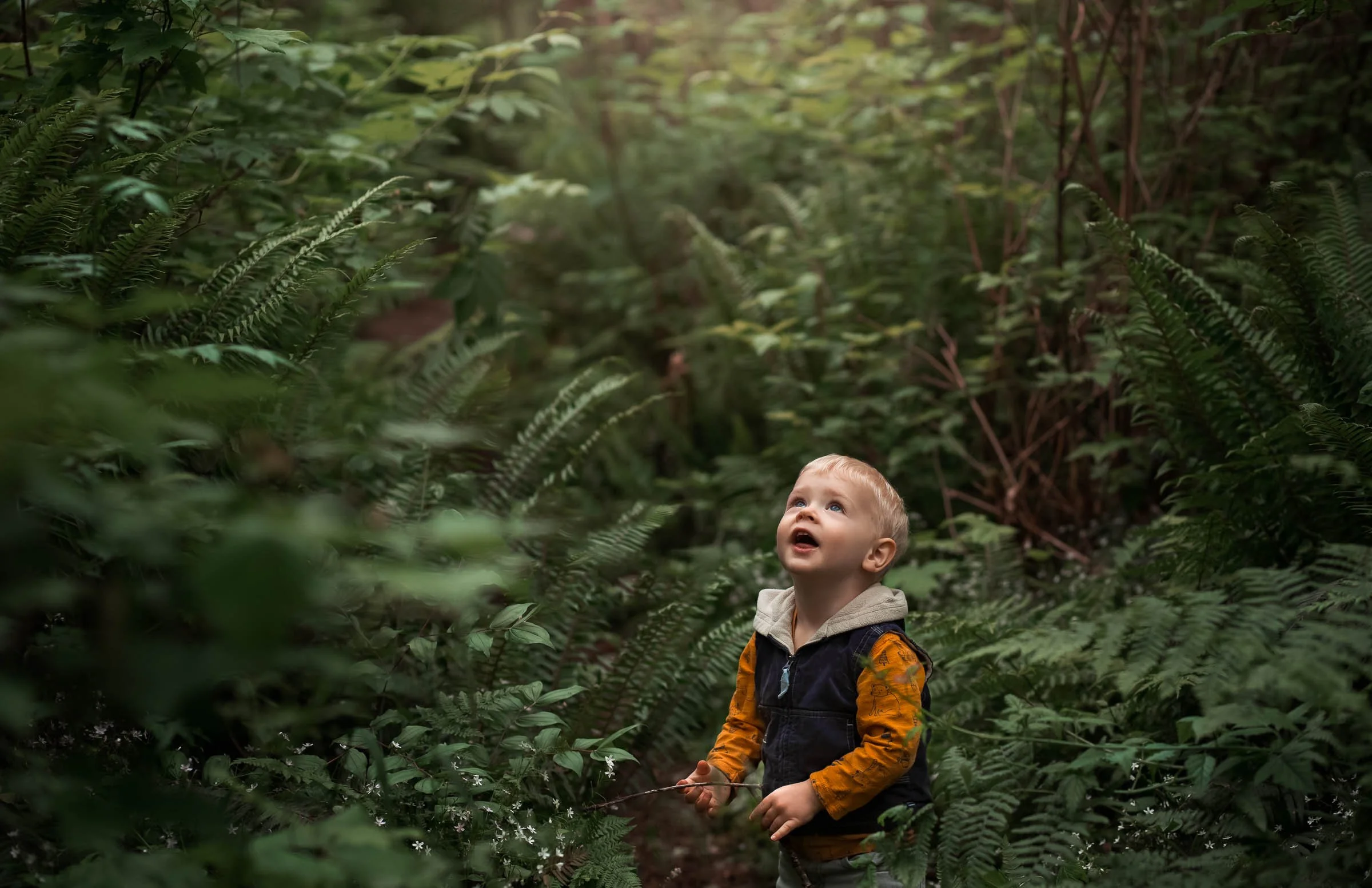 Taming Greens in your Photos | by Laura Froese