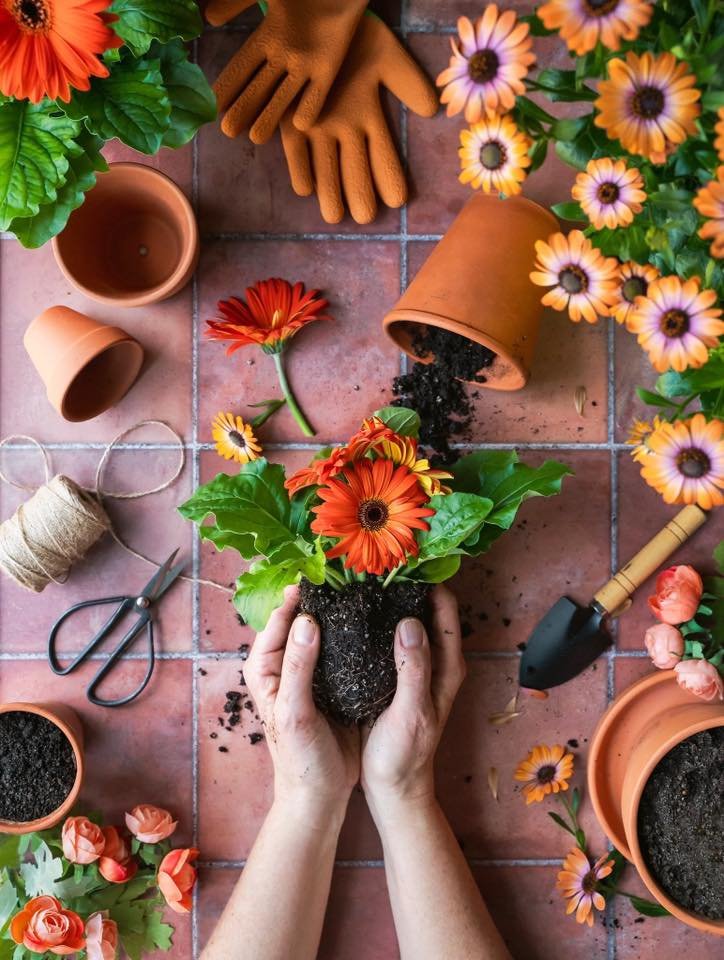 52 Clicks | Week 16 | Touch