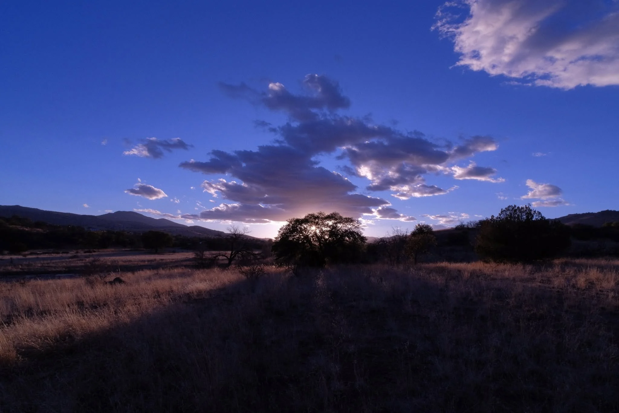 52 Clicks | Week 24 | Favorite Time of Day