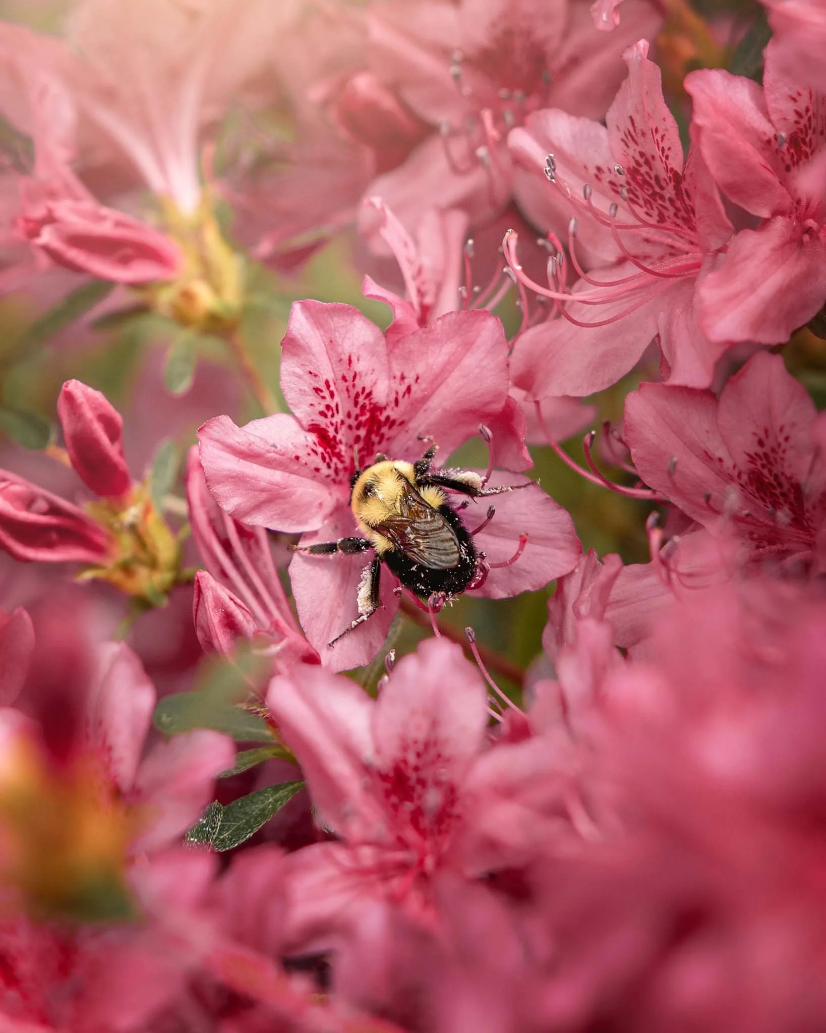 the-mindful-lens-13.jpg