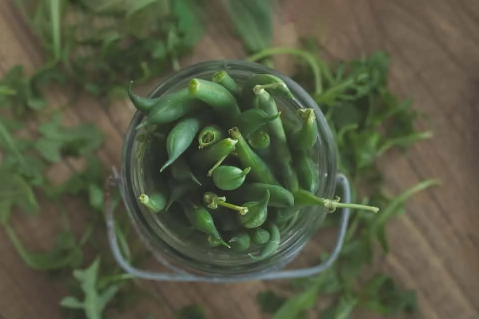52 Clicks | Week 32 | Food Photography