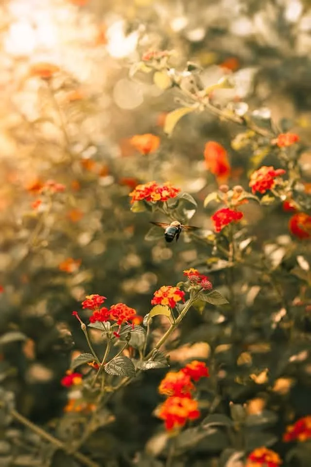 52 Clicks | Week 38 | Warm Colors