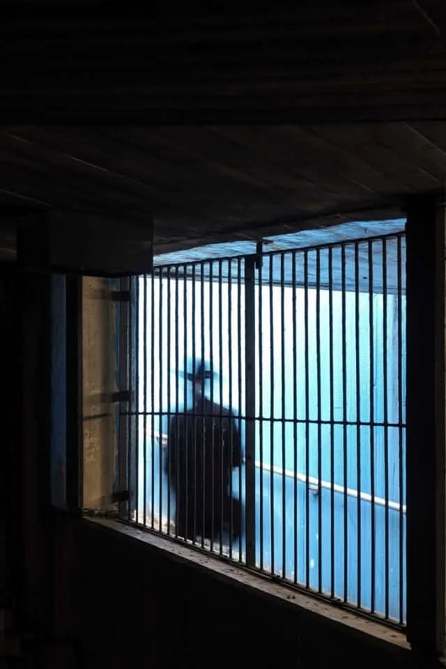 52 Clicks | Week 39 | Cool Colors