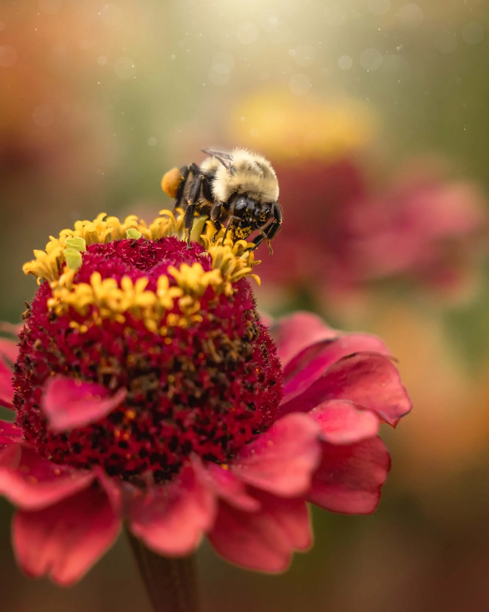 the-mindful-lens-24.jpg