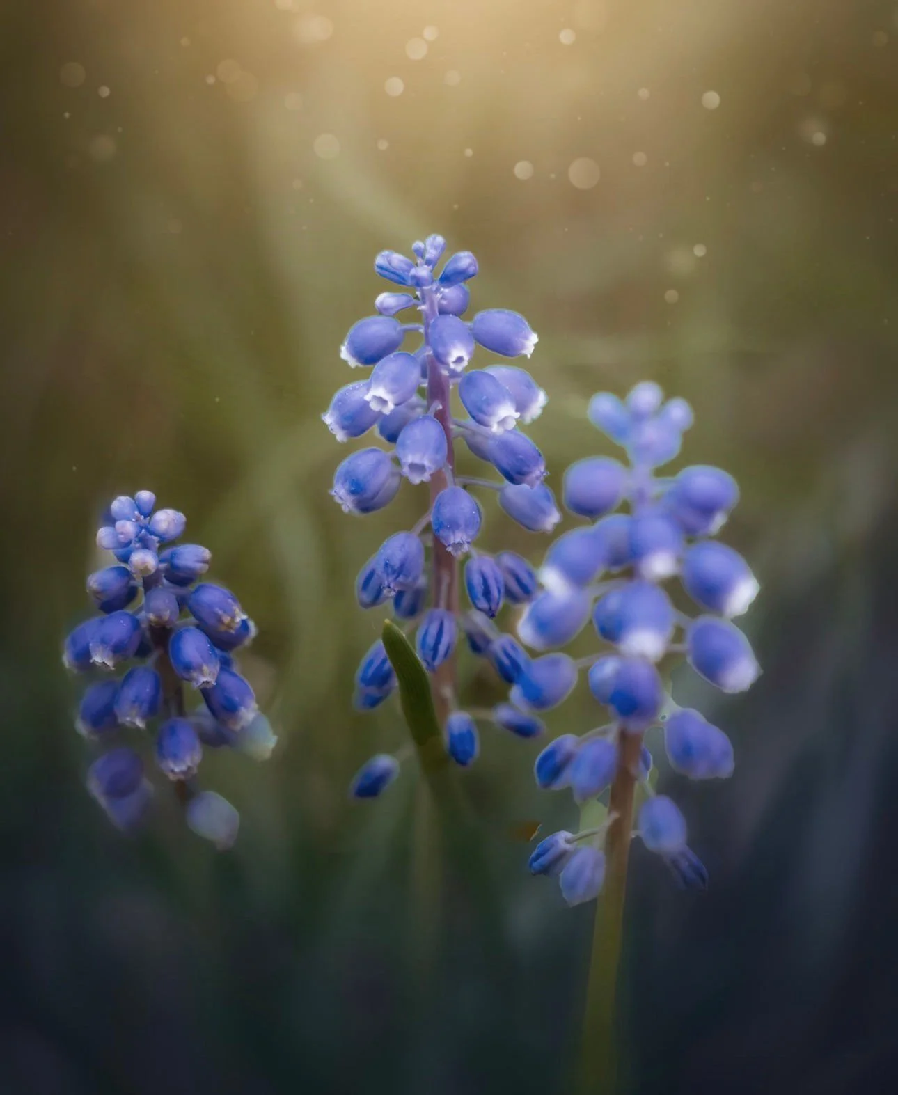 the-mindful-lens-30.jpg