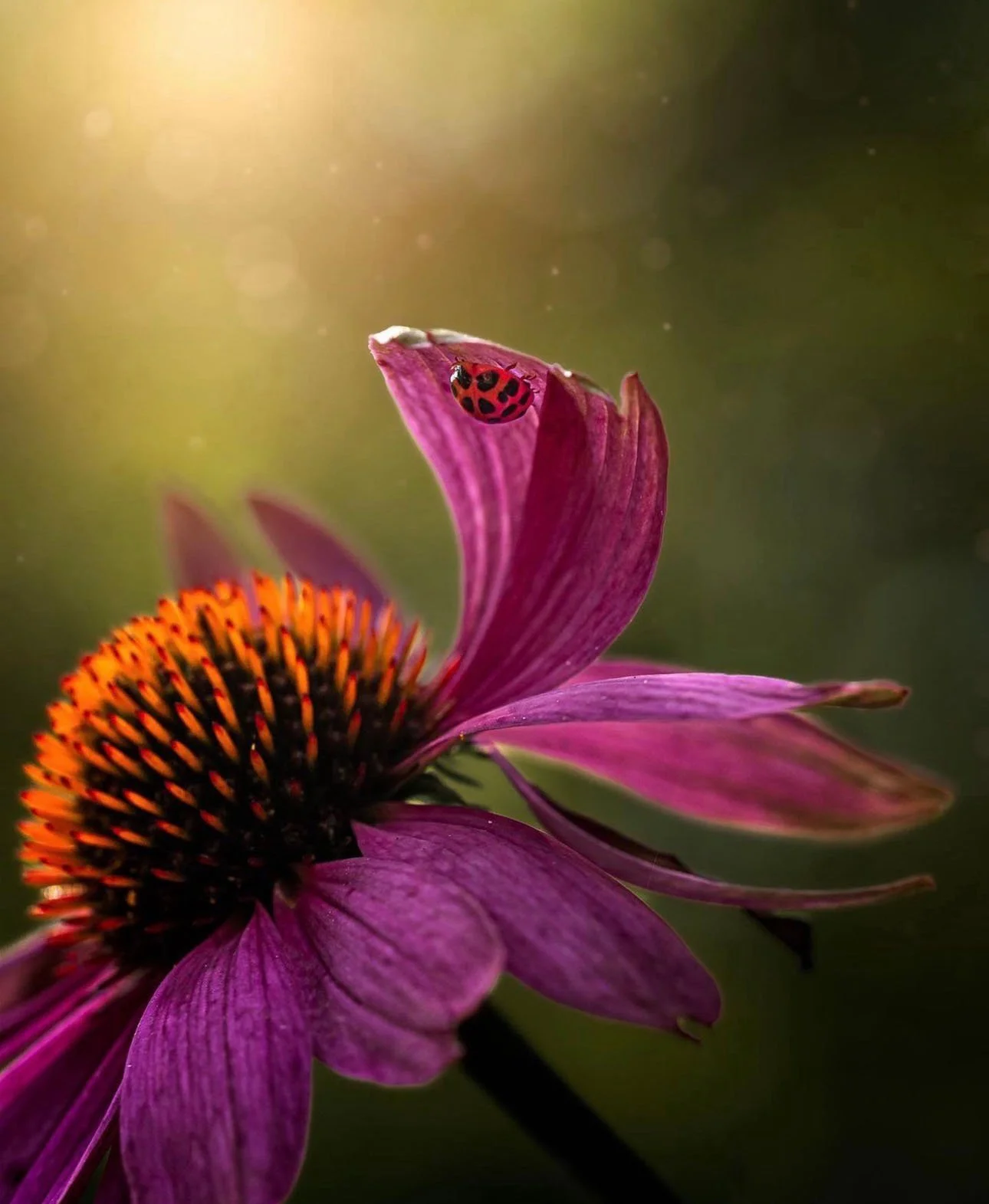 the-mindful-lens-29.jpg
