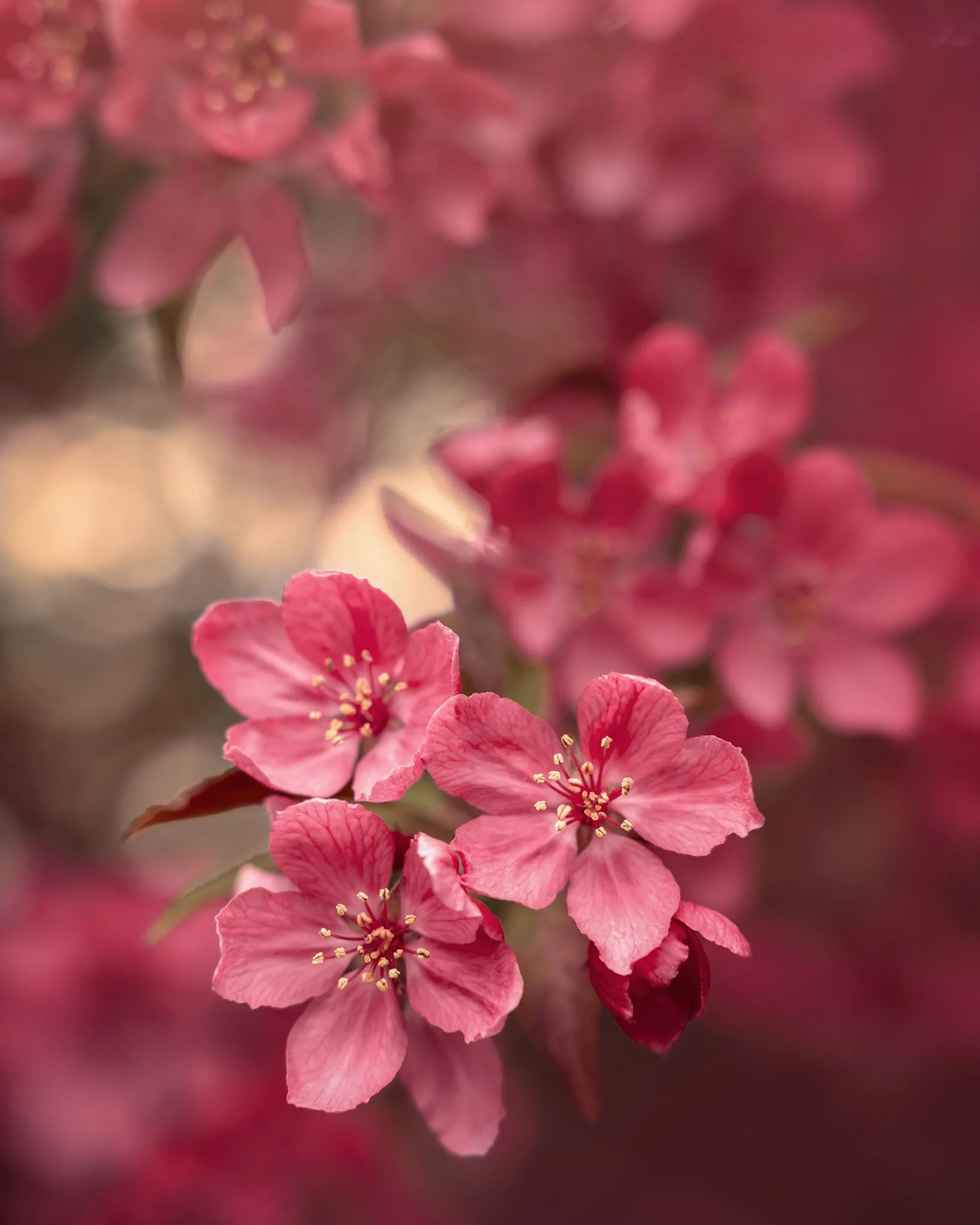 the-mindful-lens-12.jpg