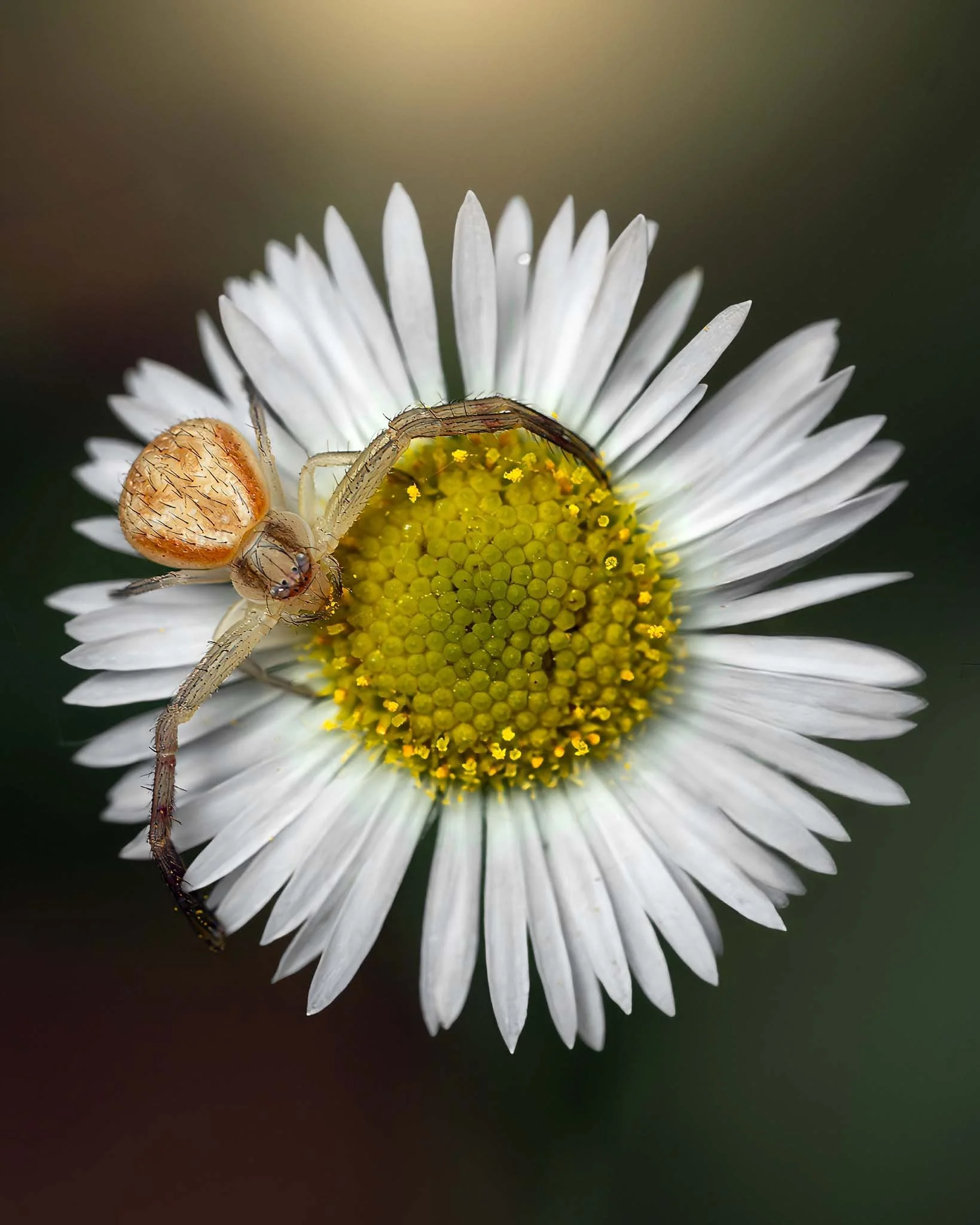 the-mindful-lens-19.jpg