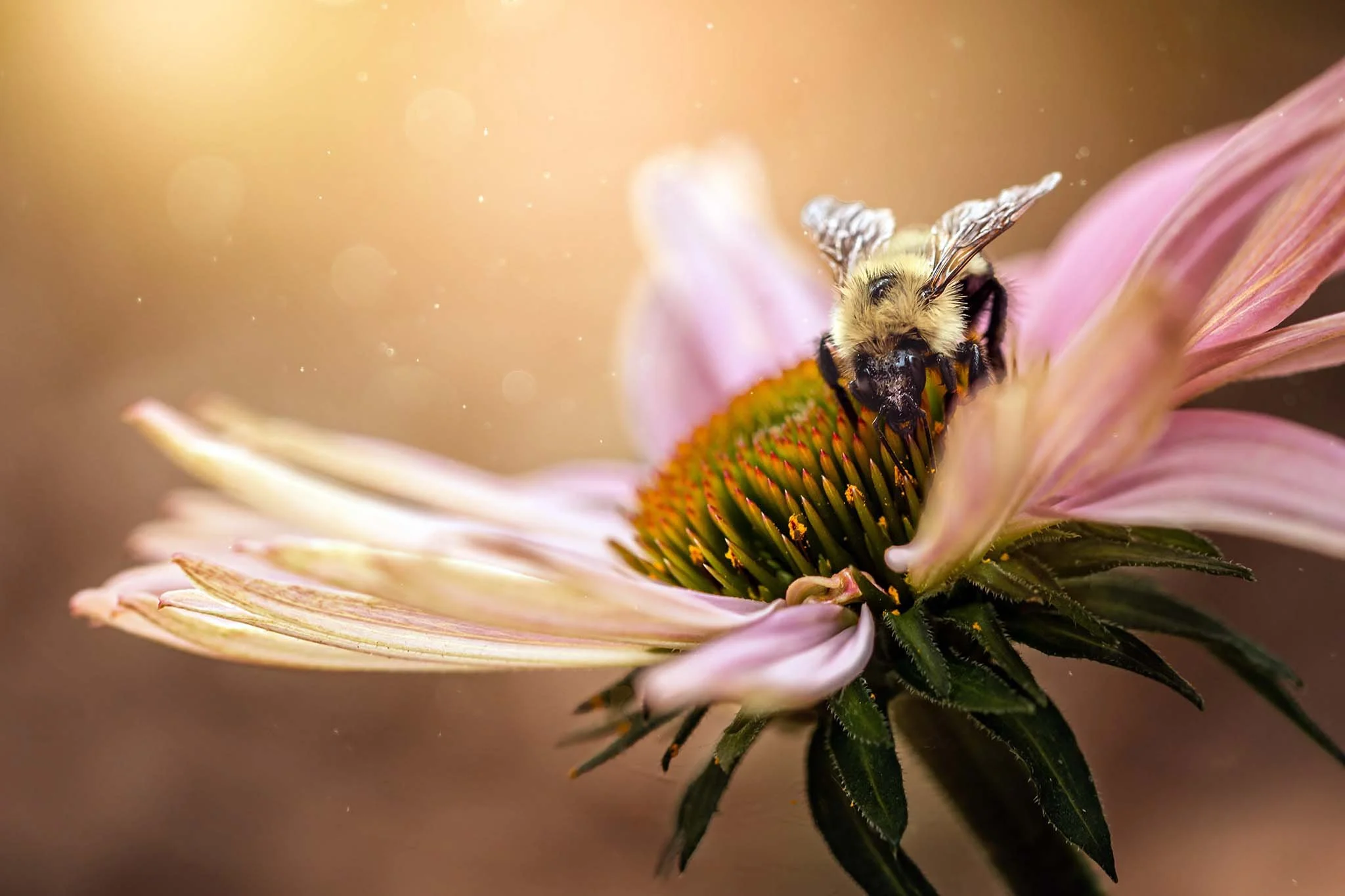 the-mindful-lens-17.jpg