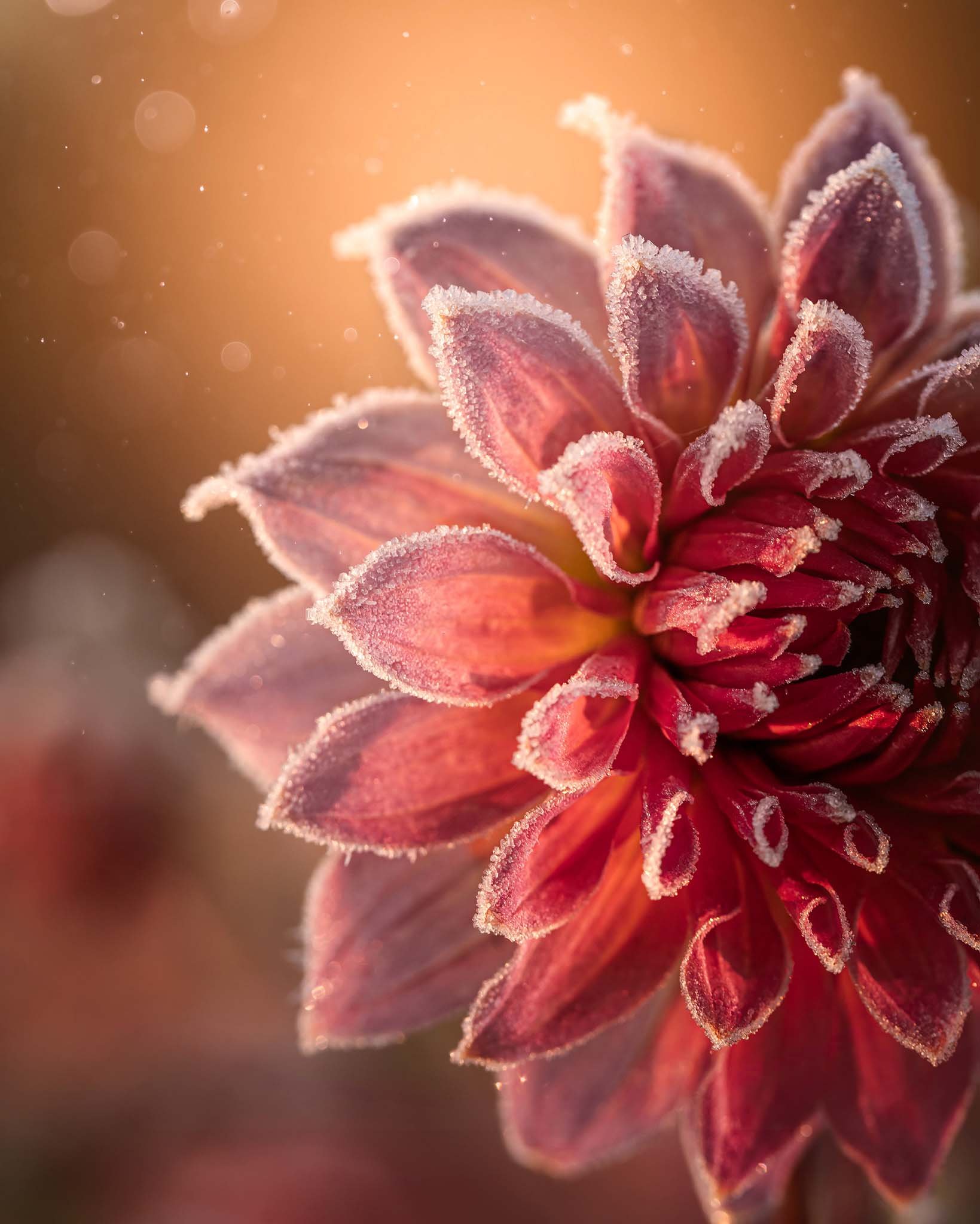 the-mindful-lens-21.jpg