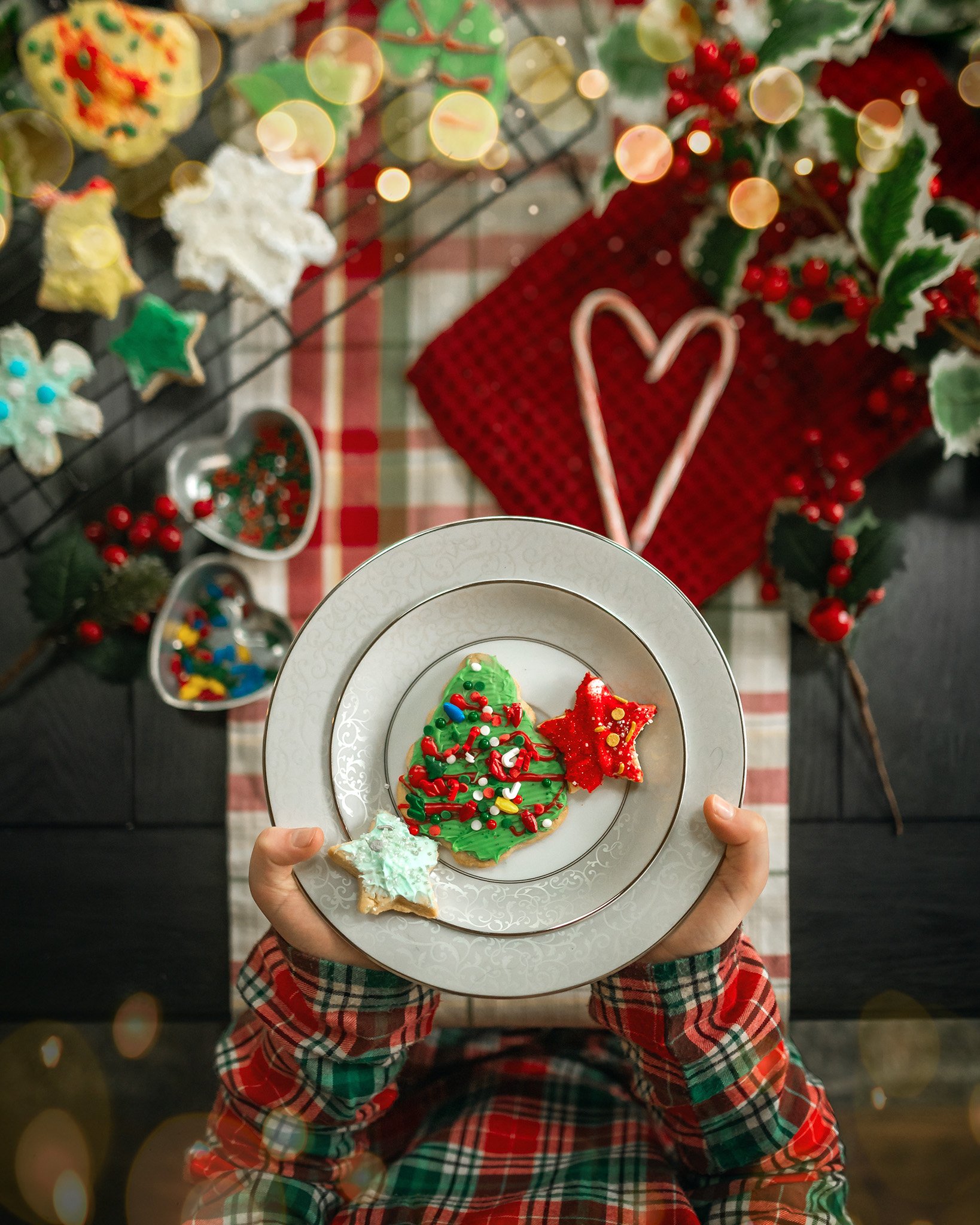 Holiday-Bokeh-Overlay-8.jpg