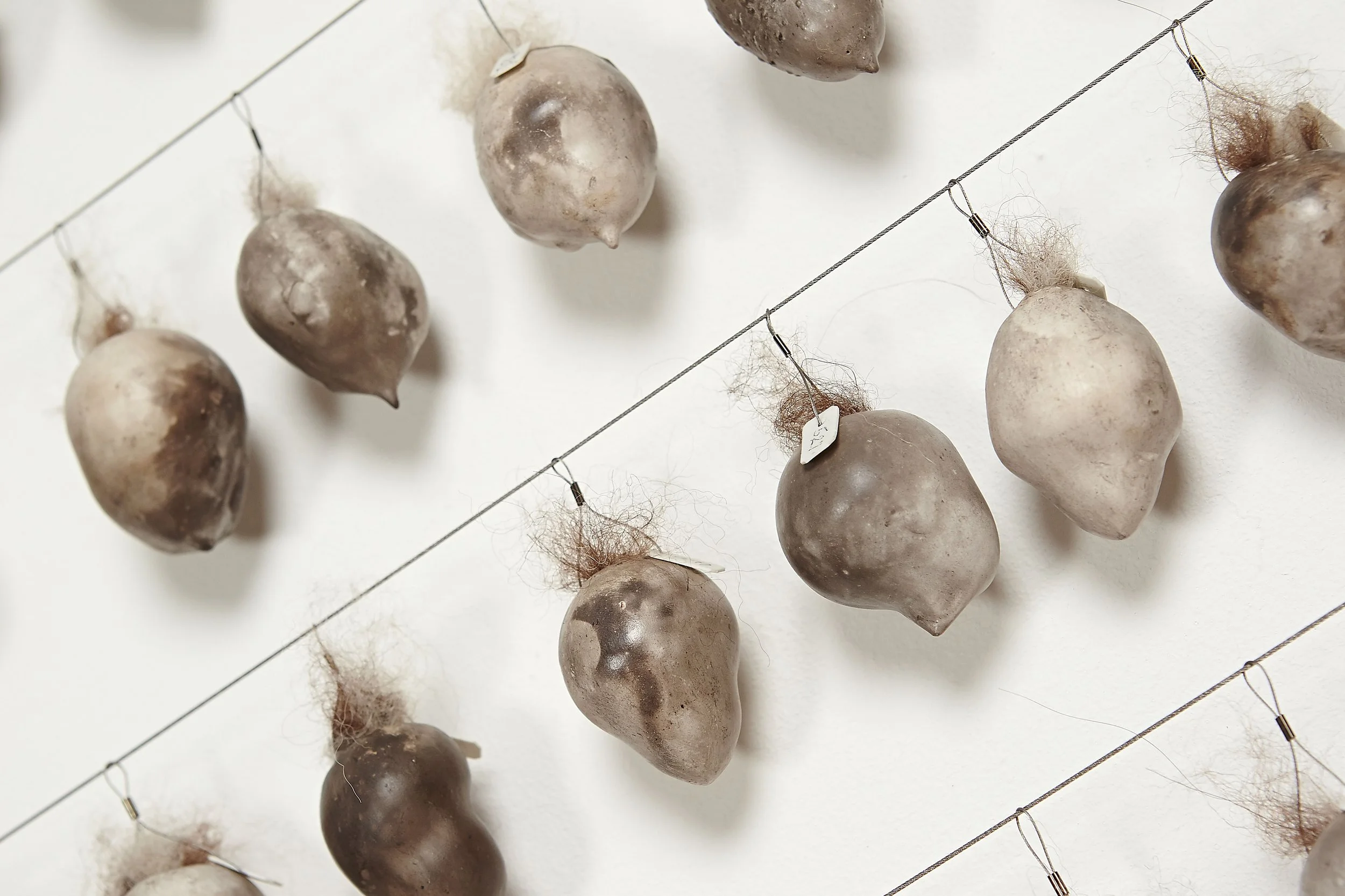 Species Loss XIV oak frame close-up2.jpg