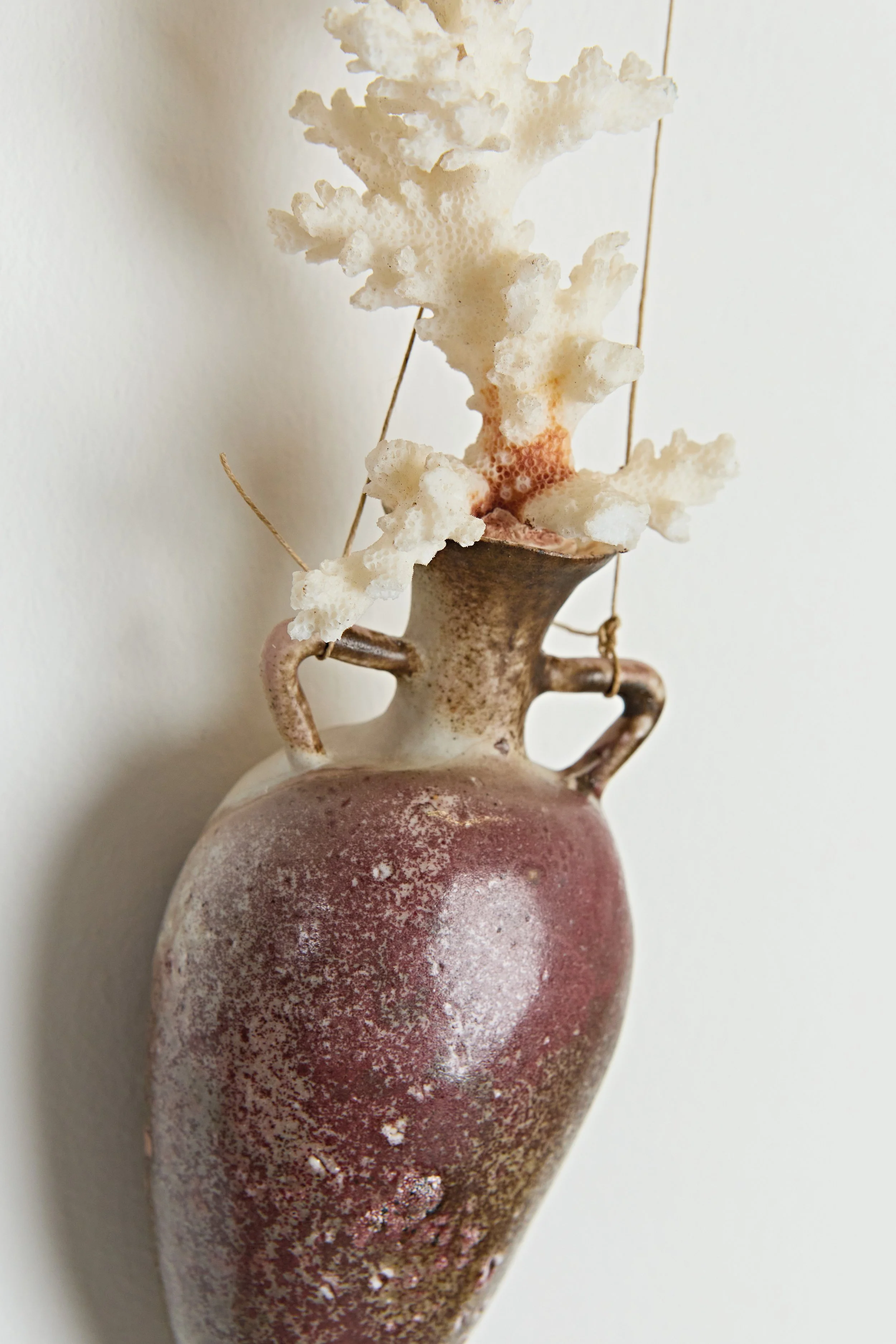 Amphorae Reef Coral detail2.jpeg