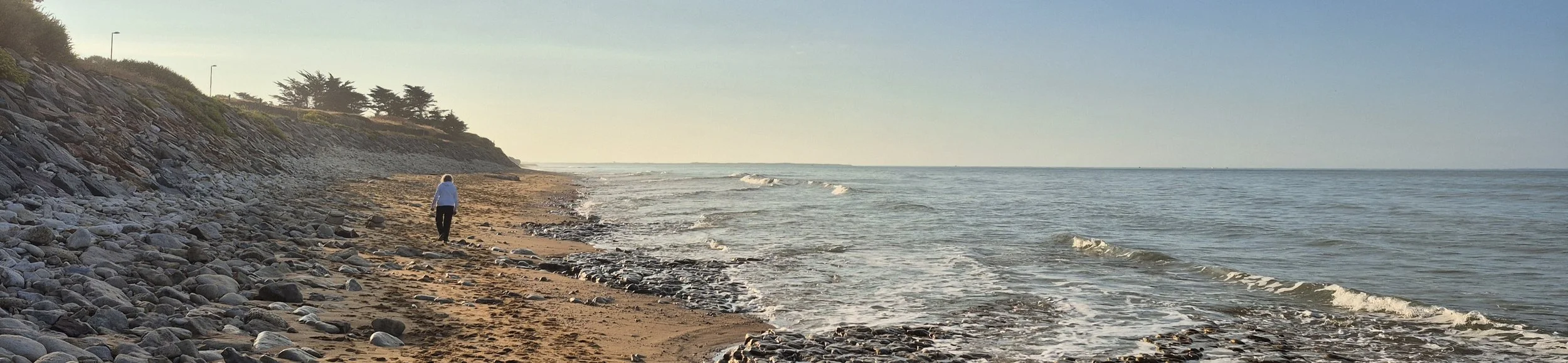 A person walking along a rocky beach with the ocean on one side and a wooded hillside on the other, under a clear sky.