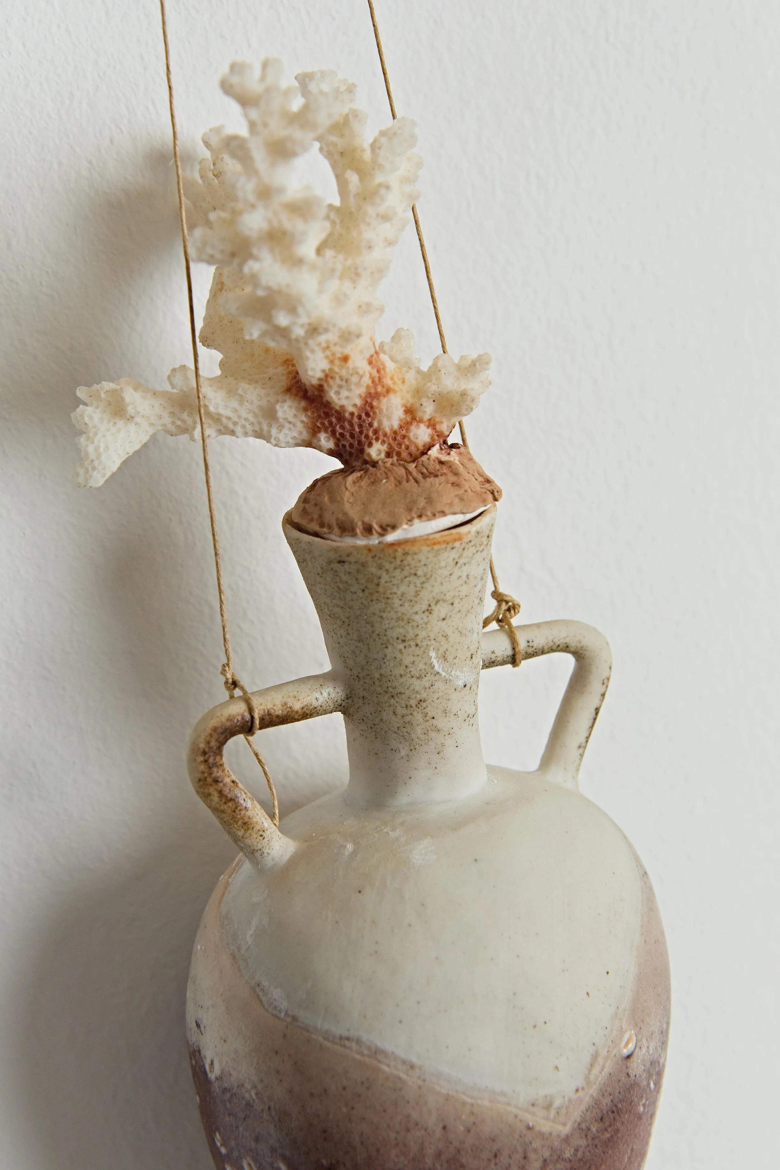 Amphorae Reef Coral detail3.tif .jpeg