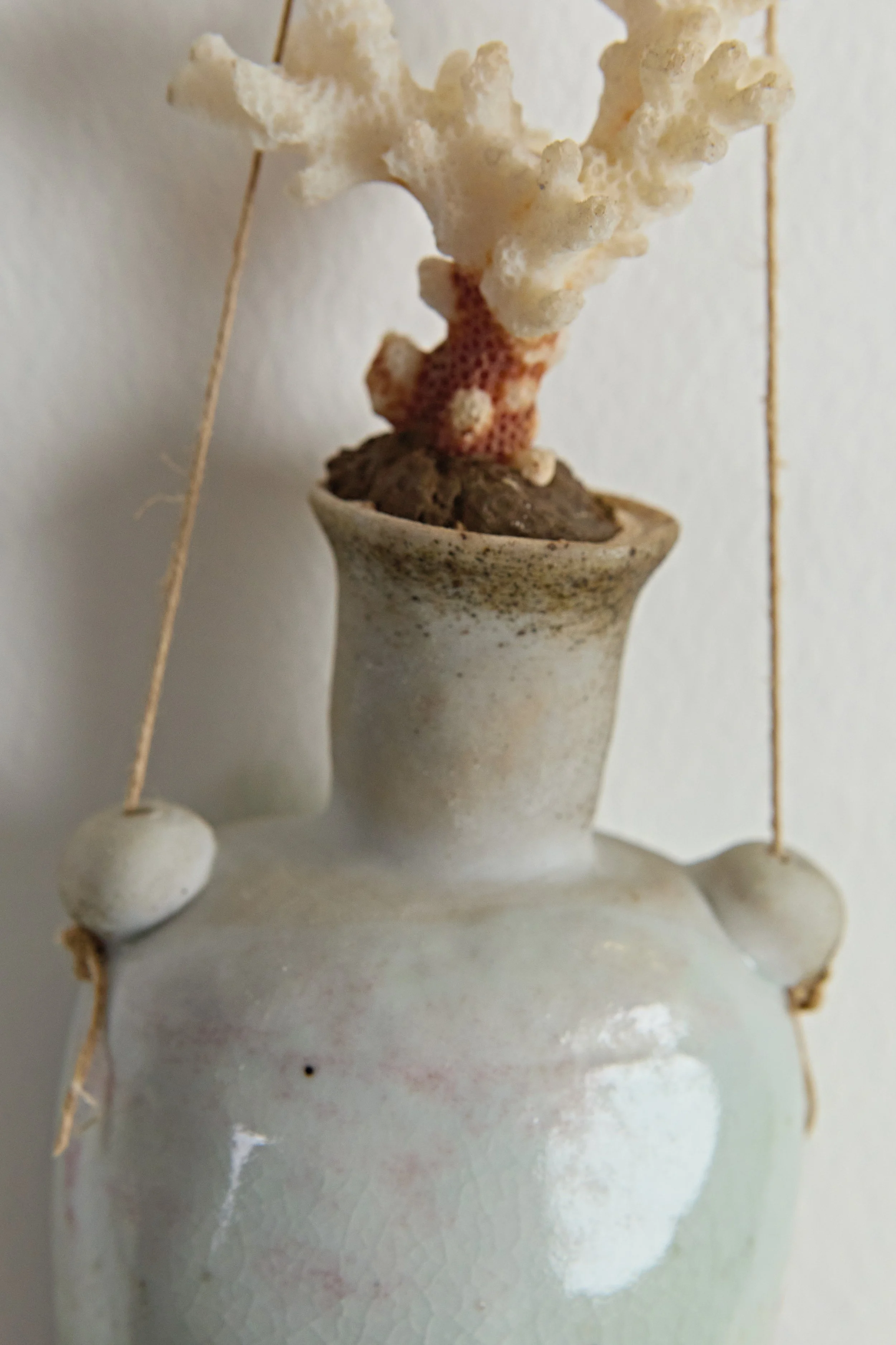 Amphorae Reef Coral detail4.jpeg