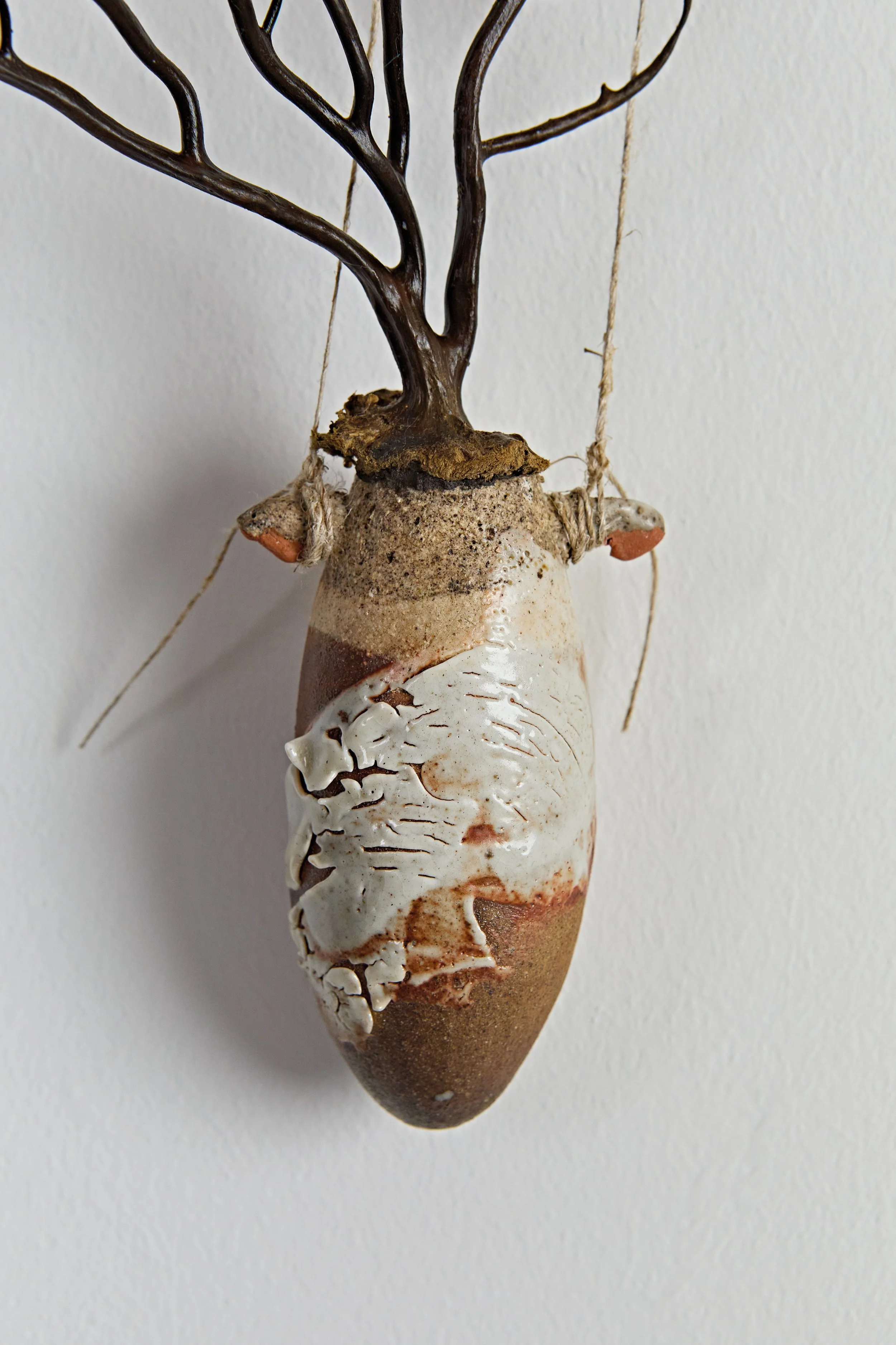 Amphorae Atlantic Sea Coral 2.jpeg