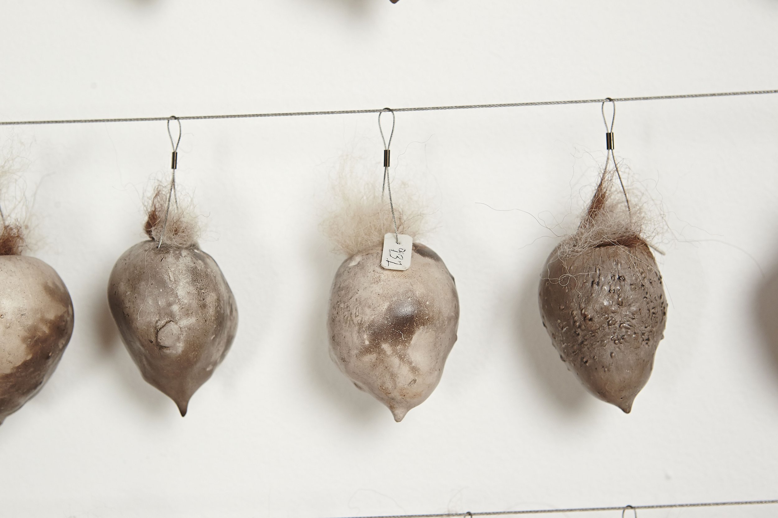 Species Loss XIV oak frame close-up6.jpg