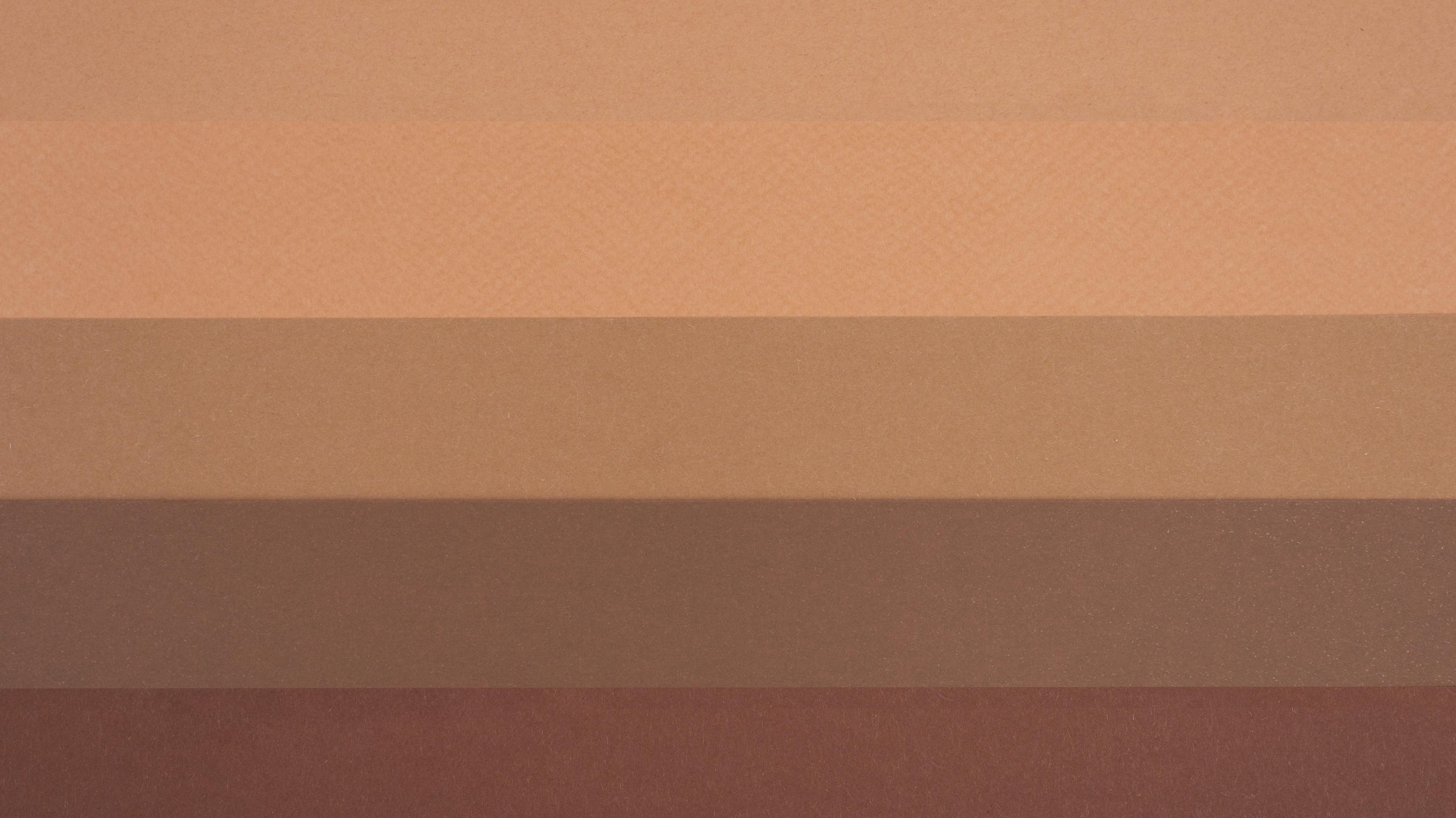 A wall with warm earth tones palette - Stephen Radl Painting