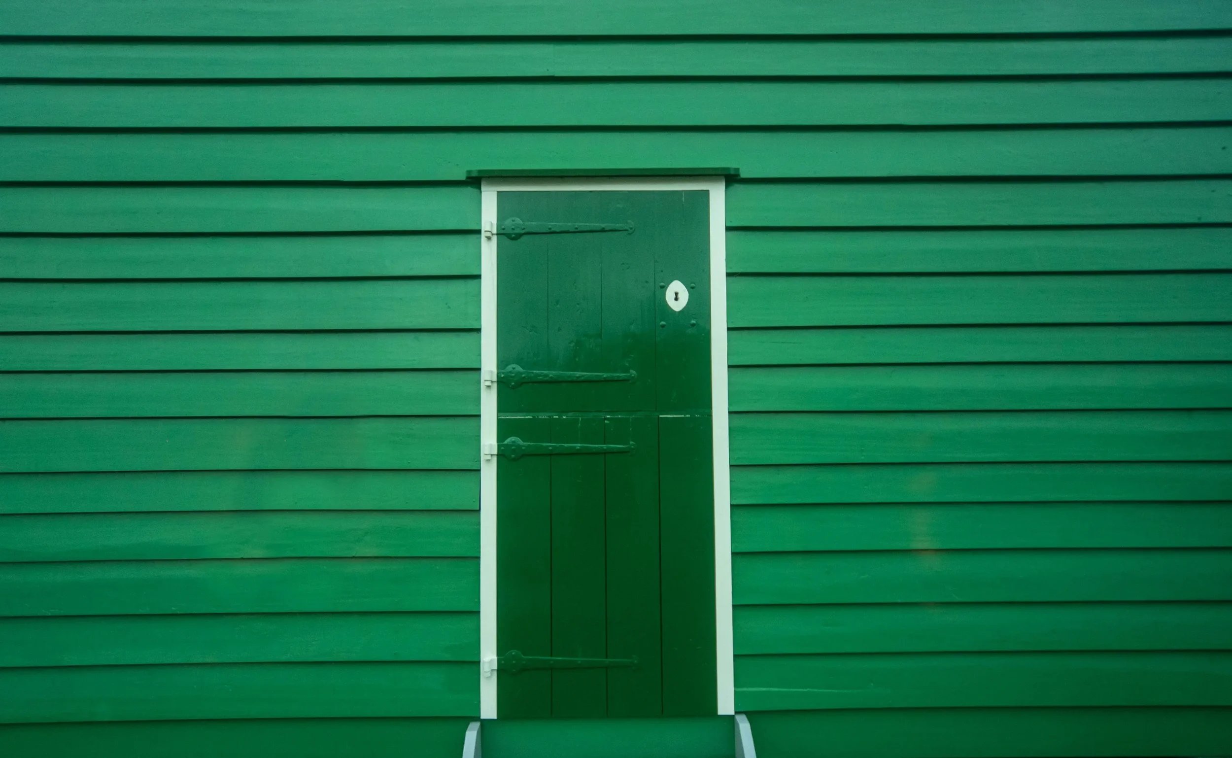 A green front door - Stephen Radl Painting