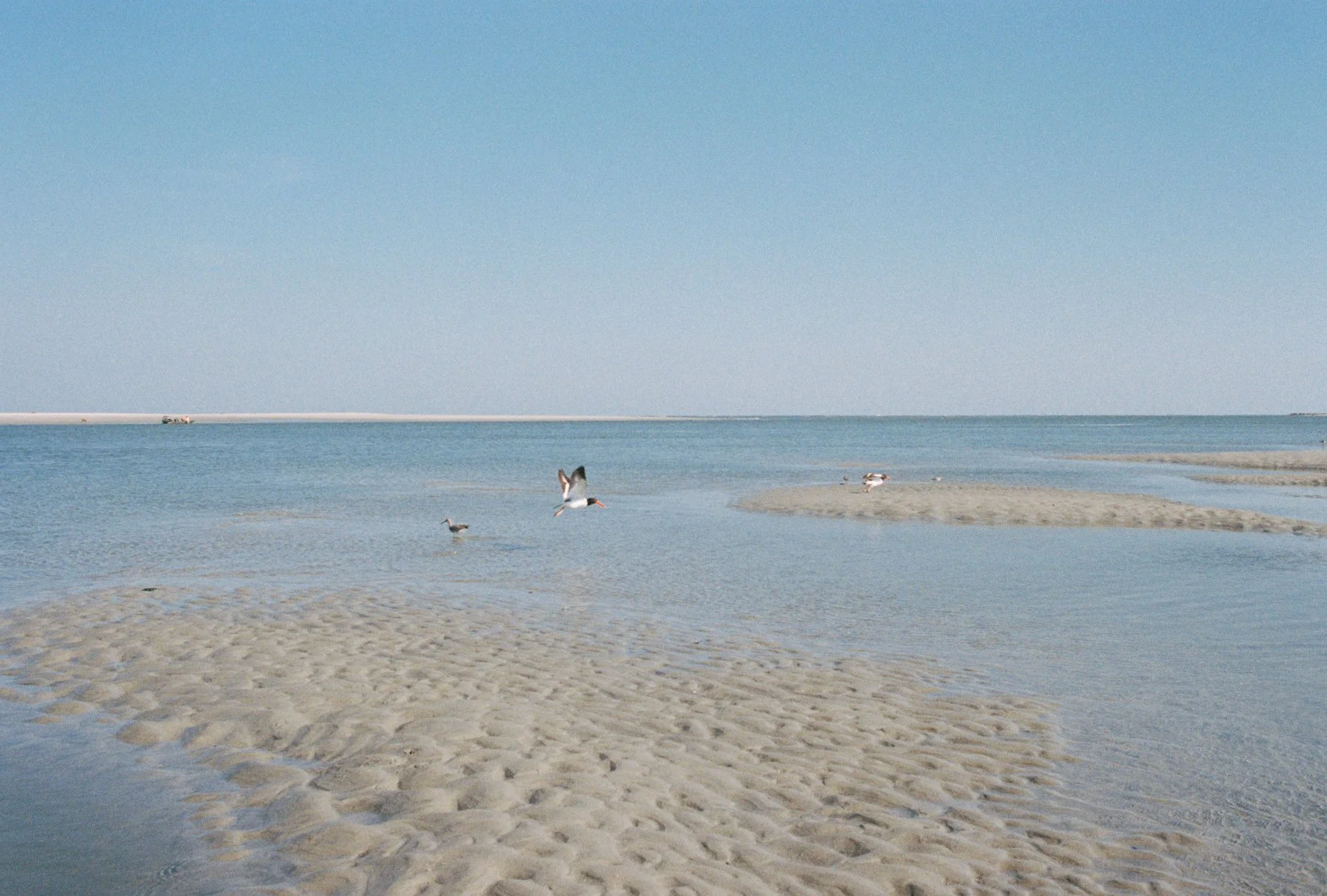 Managing Vacation Rentals: Should You Do It Yourself or Hire a Professional?