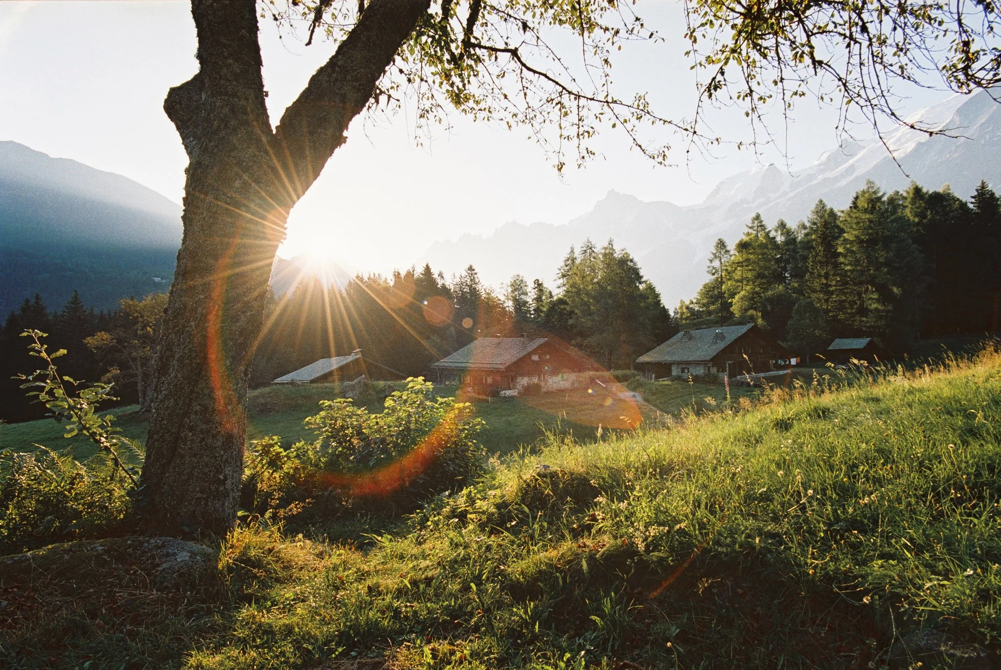 001916--003--VK.jpg