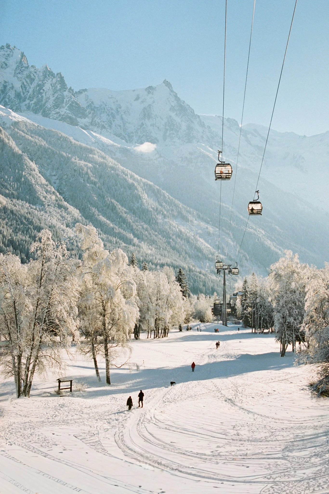 2001849--015--VK.jpg