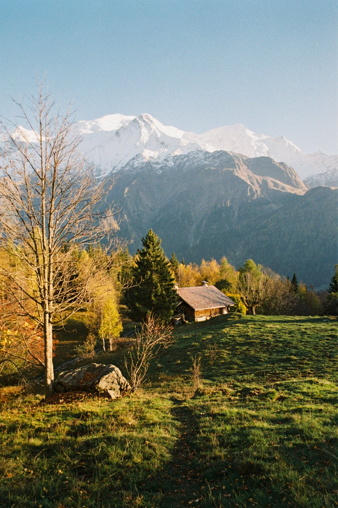 000384--019--VK.jpg