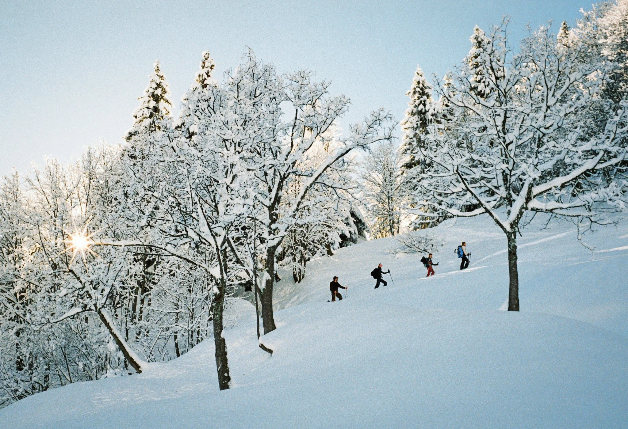 000374--019--VK.jpg