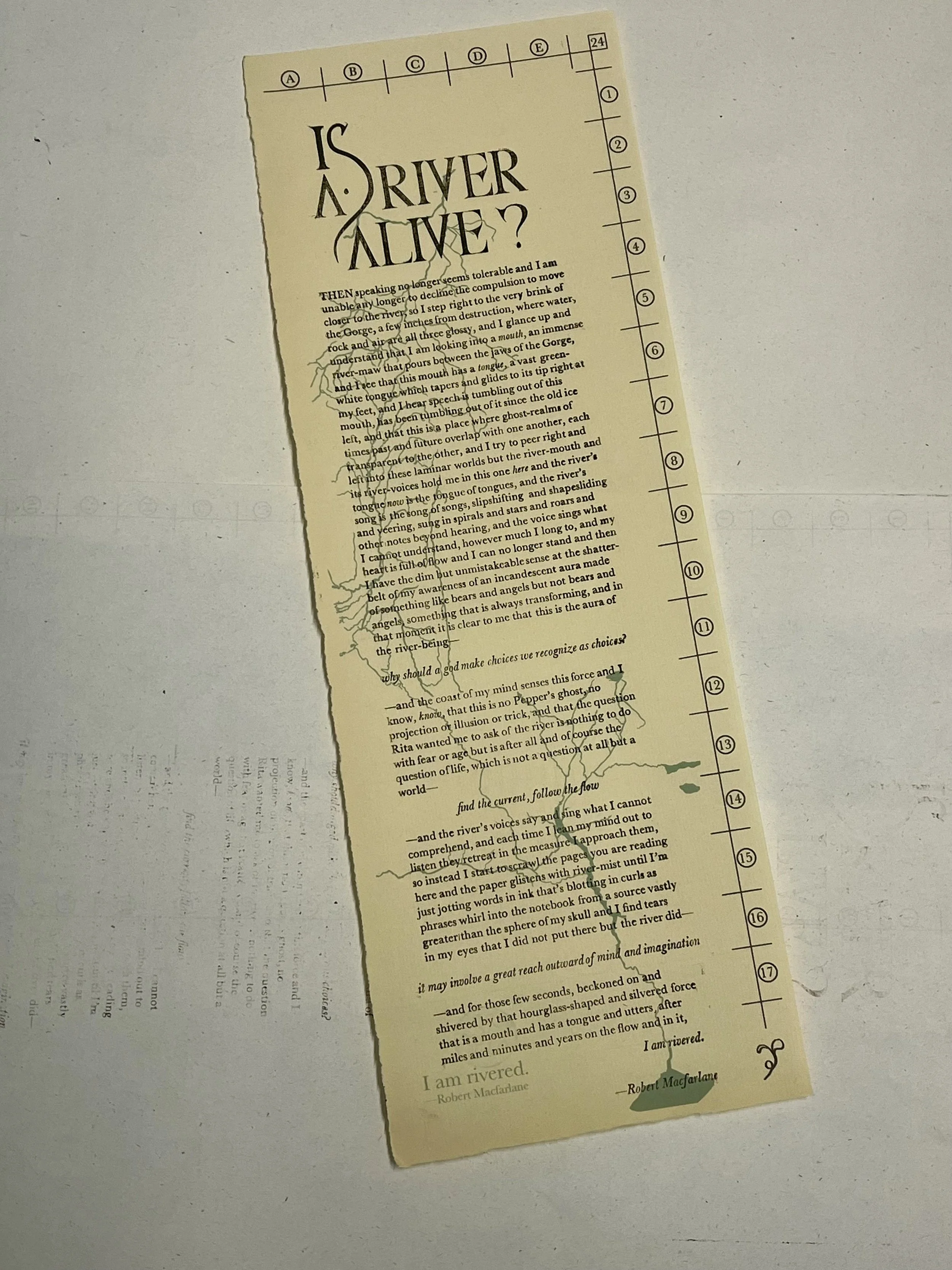 paper background.jpeg