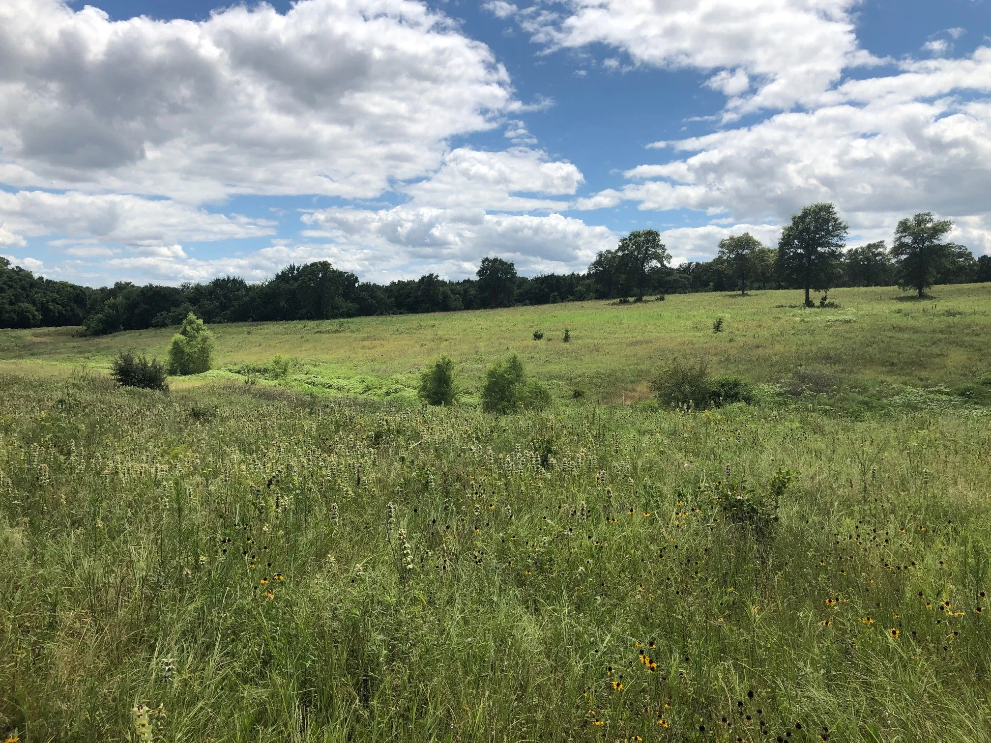 North Texas Land and Farm Acreage
