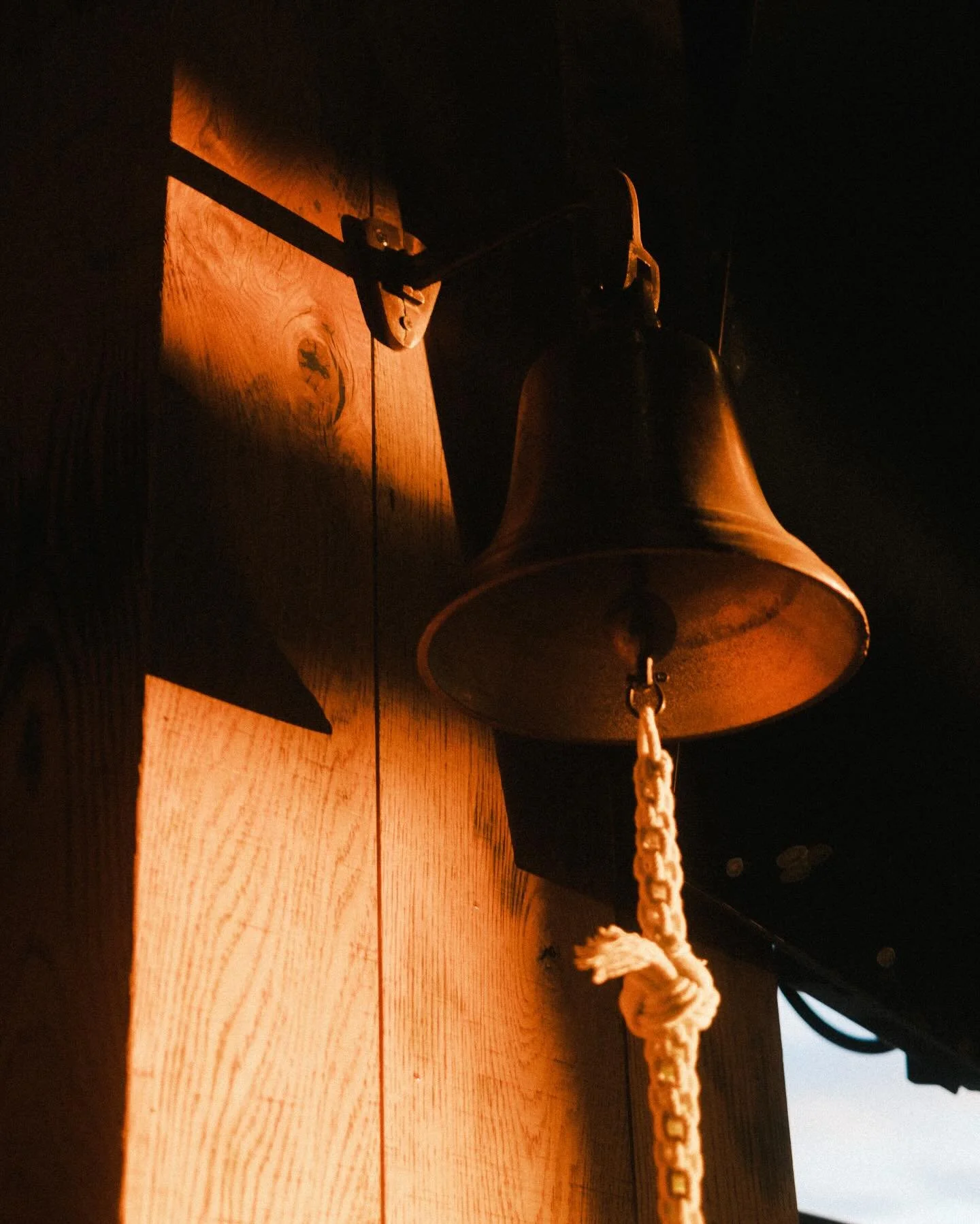 browns &amp; bells 🔔 

doors open 12p + beat the clock specials starting at $1