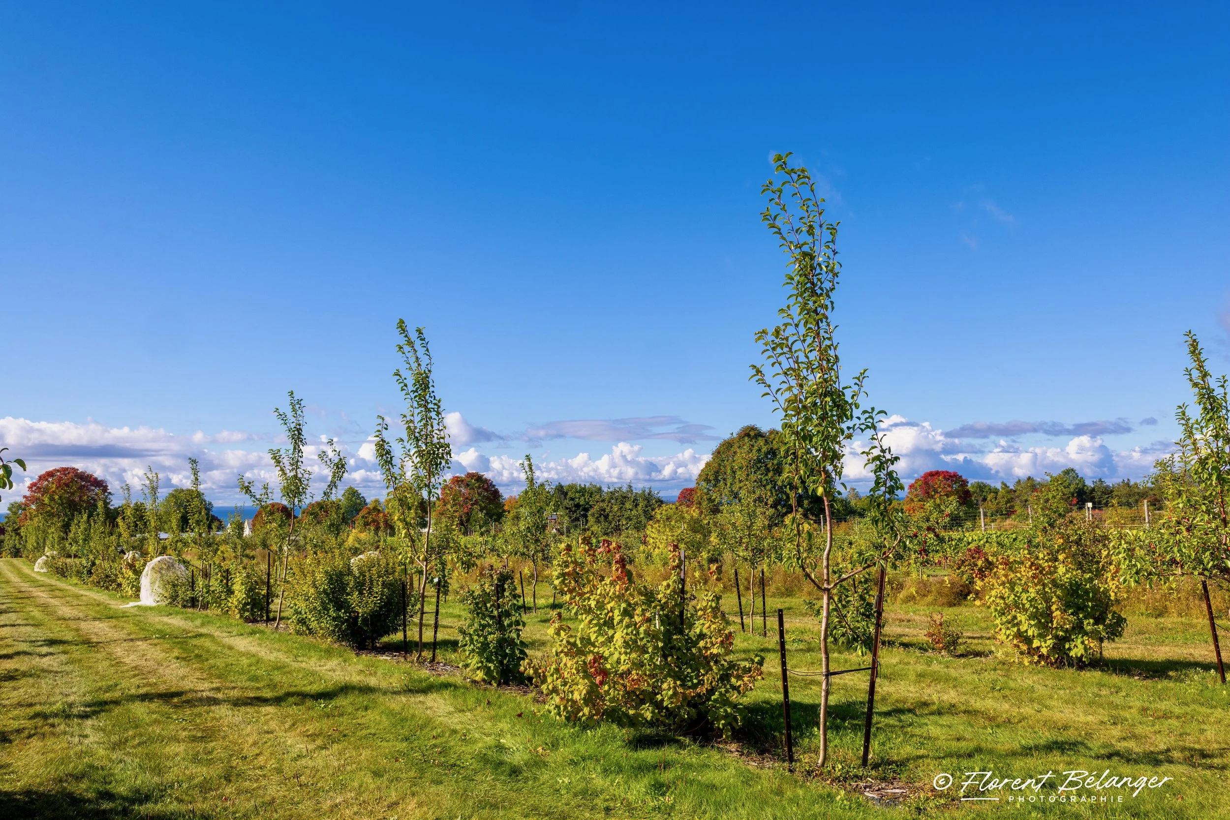Permaculture et biodiversité