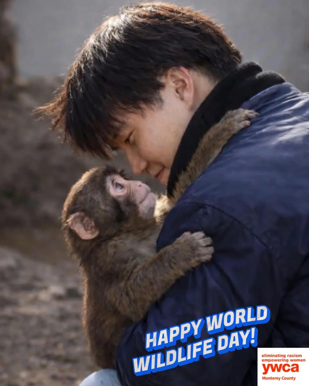 🌍🐒 Happy World Wildlife Day Punch, you're the world's favorite underdog! 💖  A huge shoutout to his amazing zookeeper, Zookeeper Kosuke Shikano, whose dedication and love have made such a difference in Punch's life. Your compassion shines through e