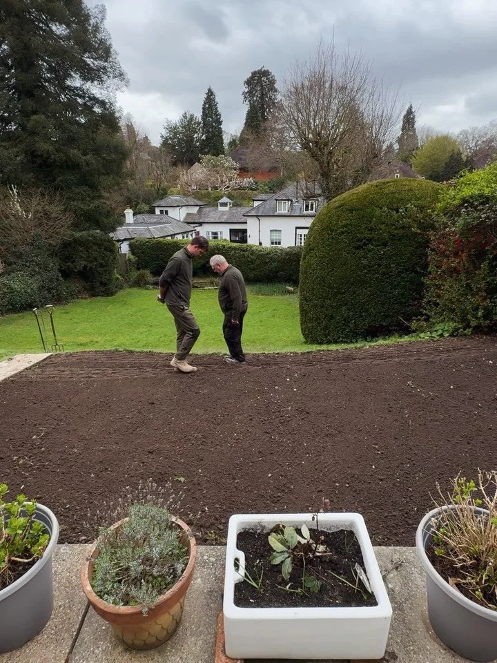 From veg patch to lawn 🌿

This small project in Tunbridge Wells transformed a previously used veg area into a clean, blended lawn &mdash; creating a more open and usable space for the garden.

Fresh turf, properly prepared and levelled, makes all th