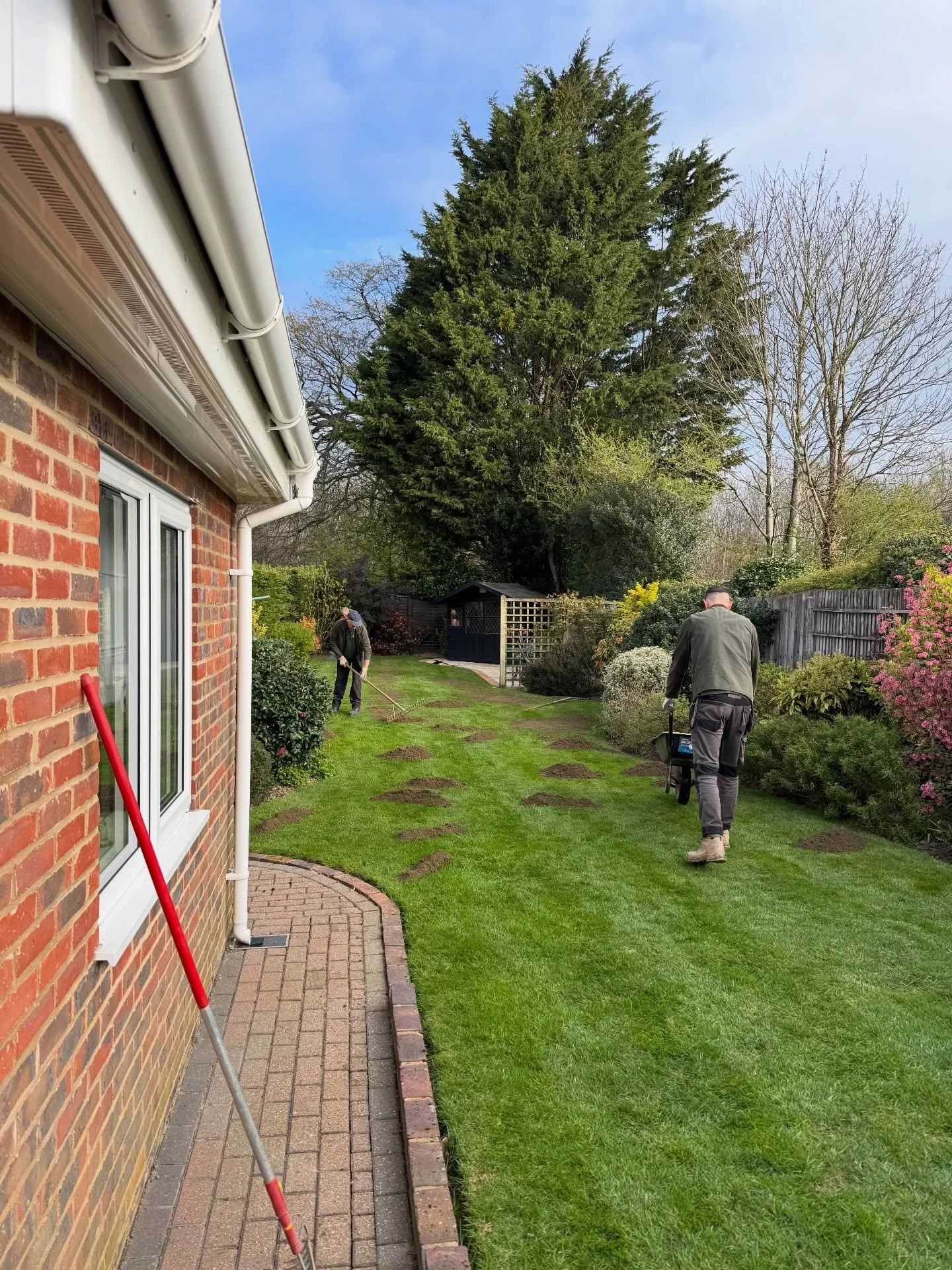 Smoothing things out 🌿

This lawn was re-levelled using fine grade topsoil and reseeded to create a more even, consistent surface &mdash; no more bumpy mower rides.

Simple, effective, and built to improve over time.

📩 Get in touch

#GreenacreLand
