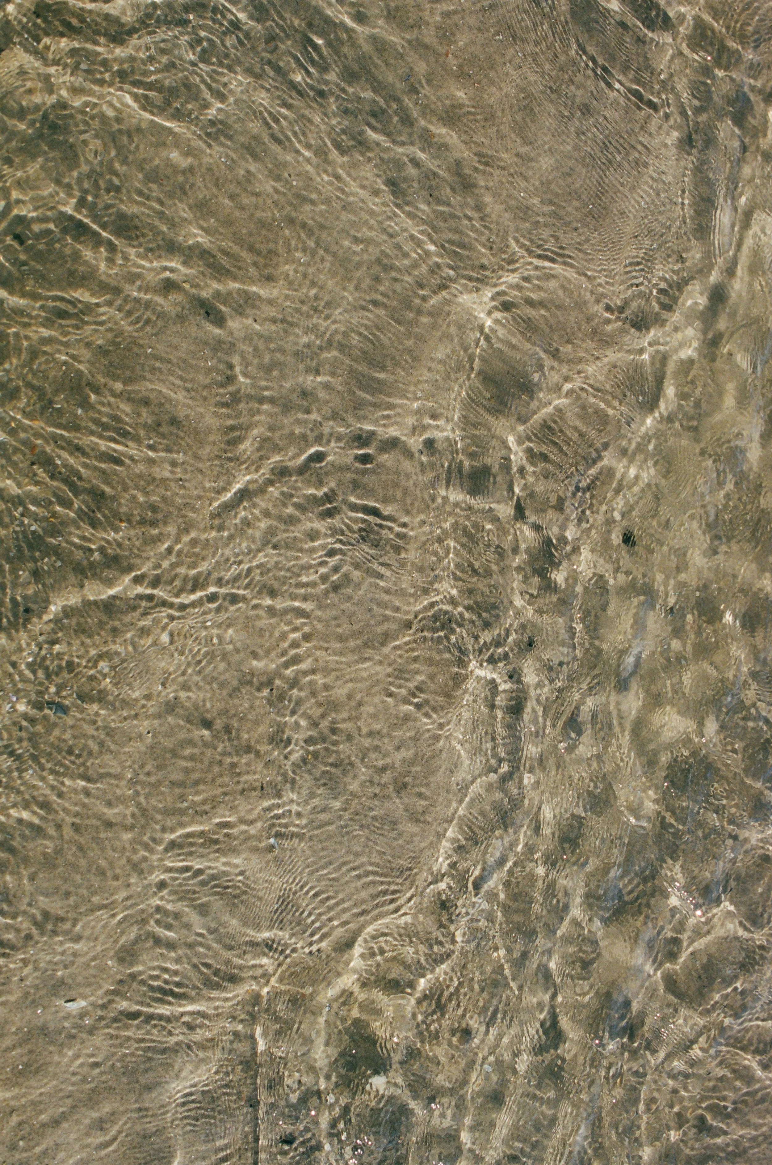 Photo Life Film Sep 5th-2.jpg