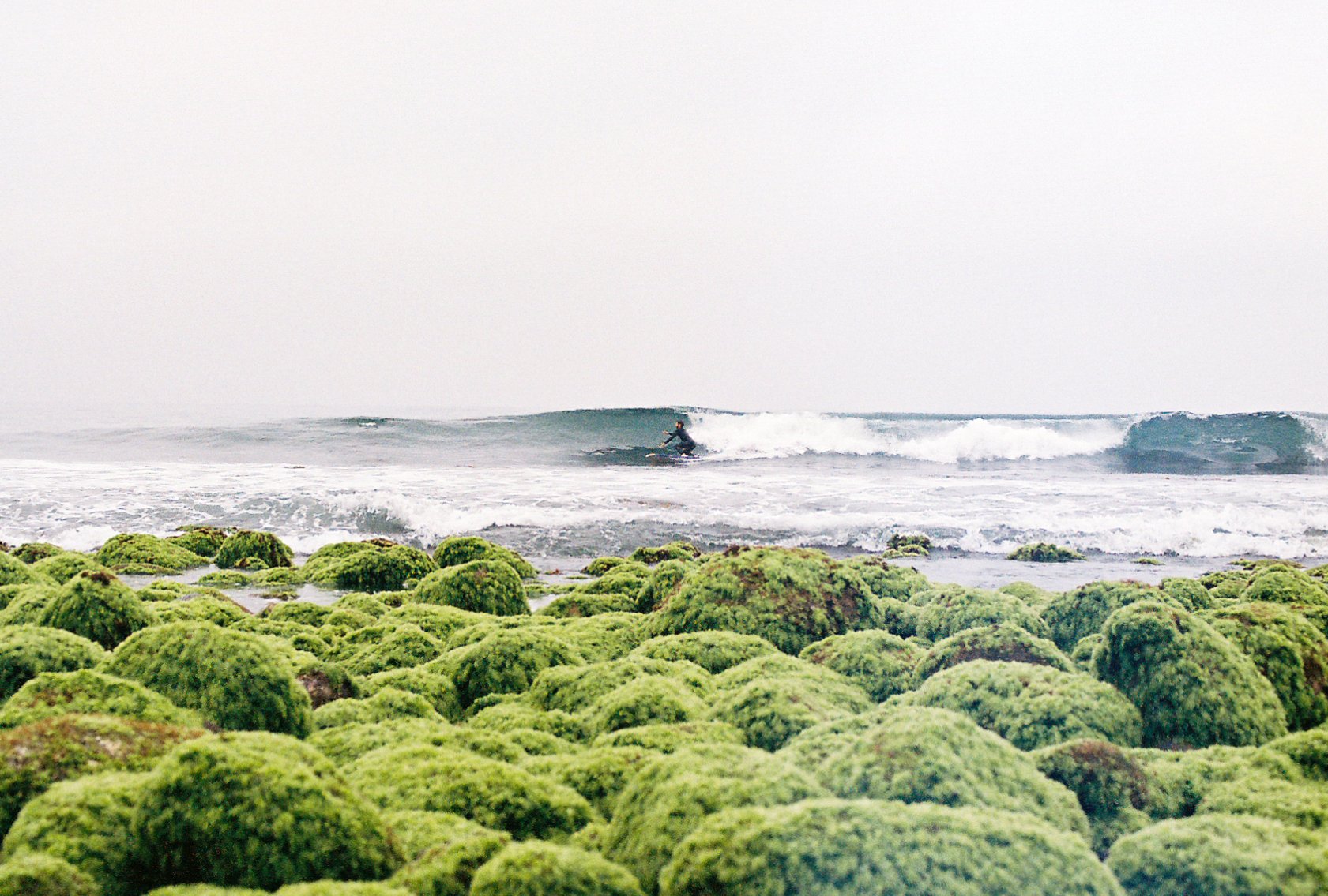 Surfing (Baja Mexico '23)
