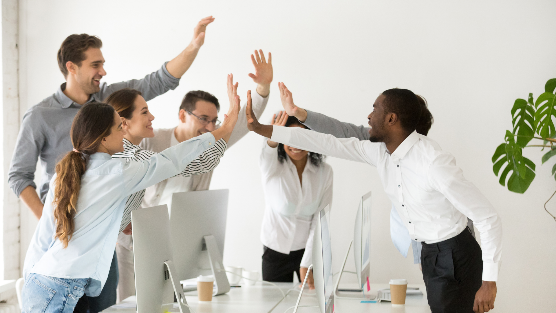 Team of professionals high-fiving across desks in a modern office