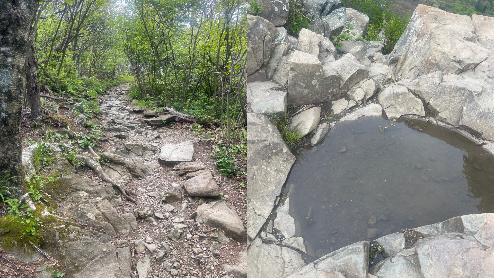 A side-by-side split image showing a rugged, rocky hiking trail on the left and a natural rainwater pool nestled among large grey rocks on the right.
