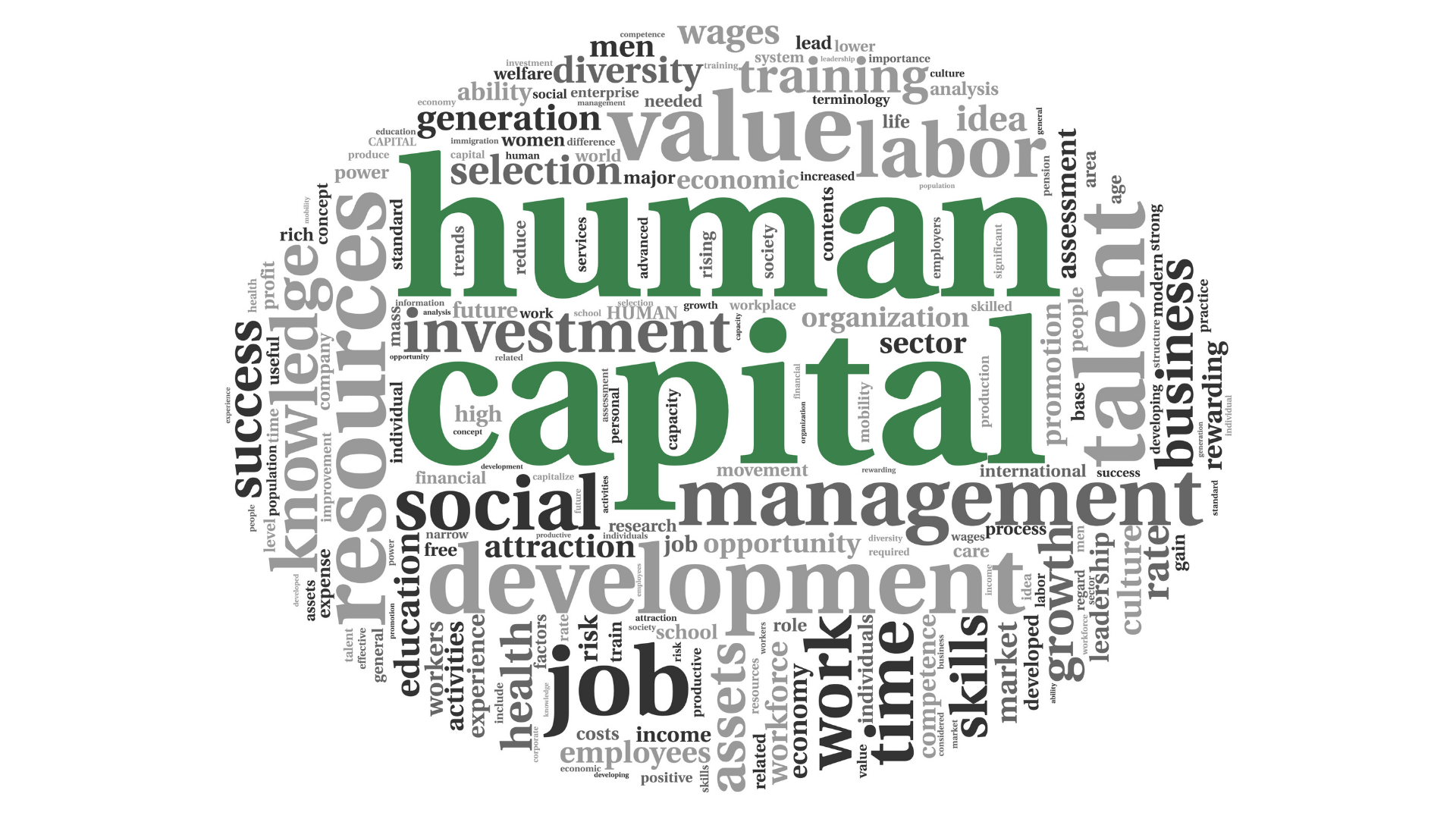 Word cloud showing human capital concepts such as skills, development, and workforce.